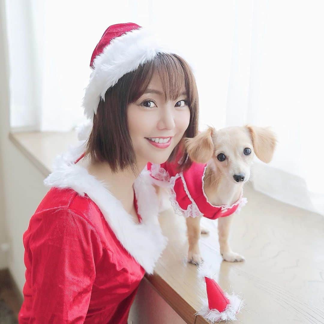 林村ゆかりのインスタグラム：「ごめんなさい〜😂 サンタコスの格好でイベント告知させてください！！！﻿ ﻿ 12月18日19時から23時まで﻿ ライバーのクリスマスパーティします🎅🎄﻿ ﻿ アジアの屋台っぽい場所ですがクリスマス仕様です✨﻿ ﻿ 【場所】﻿ ザ ギャンゲット バイ モジャ （THE GUINGUETTE by MOJA） ﻿ ☆住所☆﻿ 東京都渋谷区渋谷1-11-1 COI西青山ビル B1F﻿ ﻿ 私や他に色んなライバーが音楽パフォーマンスしますのでよろしければぜひお越し下さい❤︎﻿ ﻿ 入場フリーです🥰﻿ ﻿ ビゴとのオリジナルクリスマスシャンパンもあります🍾🥂入場フリーなのでふらっと寄っていただけると嬉しいです😊﻿ 5年前から6キロ太ったので絶賛ダイエット中…🥺 リアルと加工の写真と違うと言われないように頑張ってます😁3ー7キロ毎日歩いてますw ﻿ ﻿ ﻿ ﻿ #bigo#bigolive#ライブ配信#live streaming#ライバー#ライブストリーミング#クリスマス#クリスマスパーティ#xmas#merrychristmas#コスプレ#サンタコス」