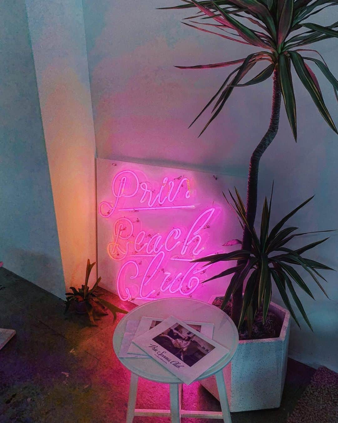 上野智子のグルメインスタ