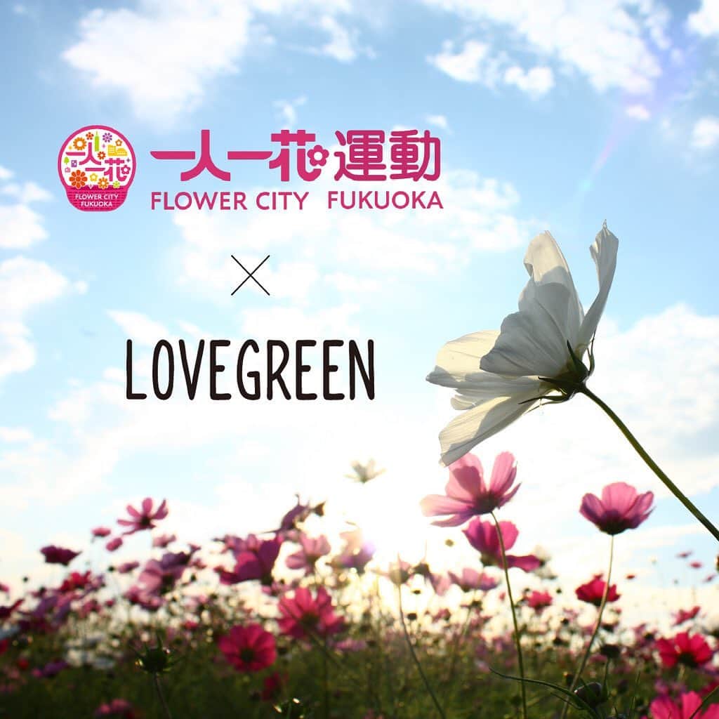 LOVEGREEN -植物と暮らしを豊かに。さんのインスタグラム写真 - (LOVEGREEN -植物と暮らしを豊かに。Instagram)「. 【LOVEGREENが福岡市の『一人一花運動』初のメディアパートナー就任】 福岡市が推進する『一人一花運動 @hitori_hitohana 』(花・緑を用いた共創のまちづくりプロジェクト)の初めてのメディアパートナーにLOVEGREENが就任しました。 . 『一人一花運動』は、花や緑によりまちの魅力や価値，人のつながりや心の豊かさを高めることを目的とした取組みで、福岡市の高島市長 @takashima.fukuoka が2018年1月の年頭会見で発表しスタートしました。市民・企業・行政・一人ひとりが、 公園や歩道、会社、自宅など、福岡市のありとあらゆる場所での花づくりを行うことで、花による未来のまちづくりを目指すものです。 . LOVEGREENでは、WEBサイト内に福岡特集ページを開設し、不定期で一人一花運動を中心とした福岡での取材及び記事の公開はもちろん、様々な形での活動も行う予定です。 . また，一人一花運動の新しい取り組みや記事が公開され次第、WEBサイトやSNSで随時ご紹介させていただきます。 今後ともLOVEGREENがメディアパートナーに就任した、福岡市の『一人一花運動』にご注目ください。 . . #一人一花 #一人一花運動 #高島市長  #fukuokacity #fukuoka #flowercityfukuoka  #福岡 #福岡市 #フラワーシティ #フラワーシティ福岡 #福岡観光 #福岡旅行 #福岡イベント  #花壇 #花壇作り #花壇の花 #花壇ウォッチャー  #植物のある暮らし #植物のある生活 #花のある暮らし #花のある生活  #園芸 #ガーデニング #植物 #花  #lovegreen #ラブグリーン #botapii #ボタピー」12月13日 20時02分 - lovegreen_official