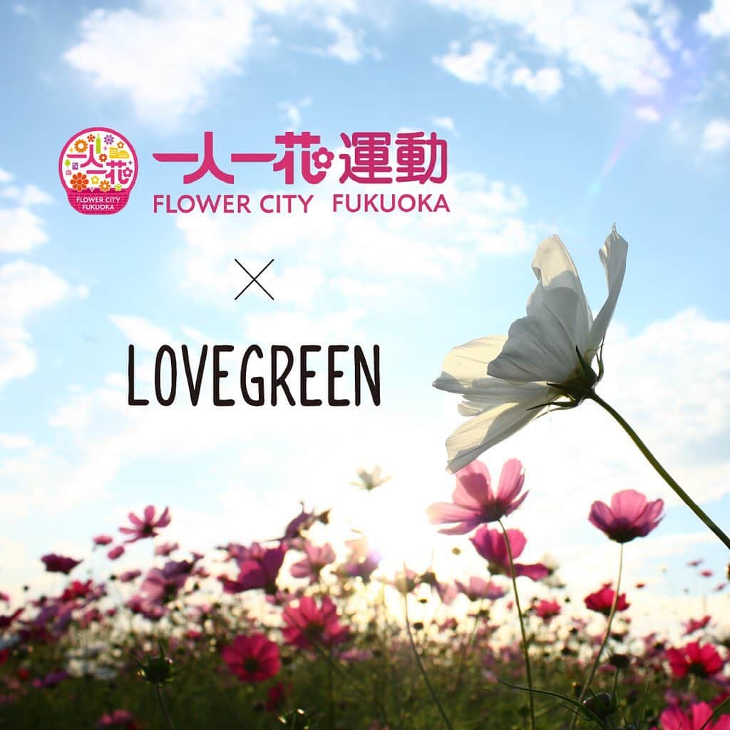 LOVEGREEN -植物と暮らしを豊かに。のインスタグラム