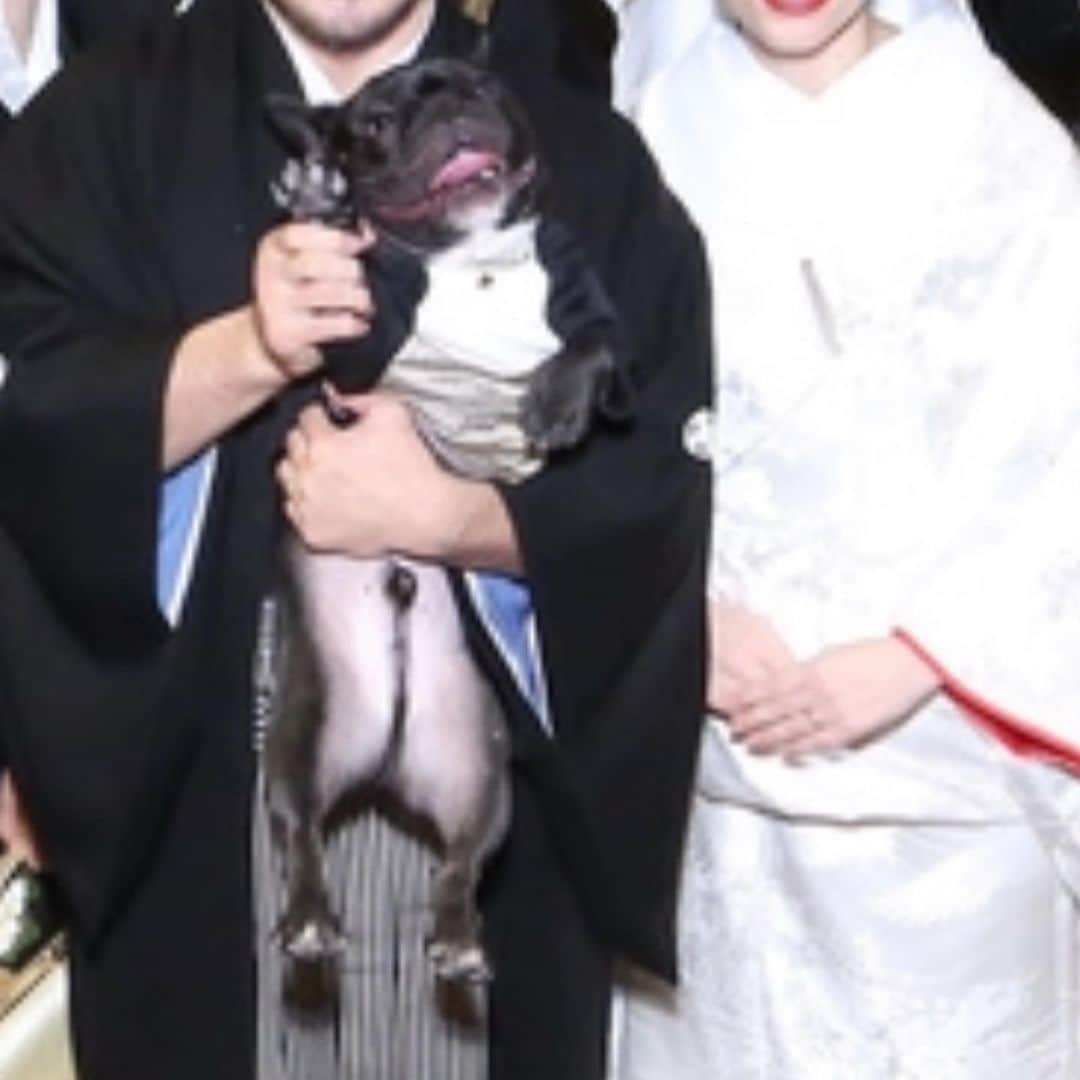 RIKAPEPEさんのインスタグラム写真 - (RIKAPEPEInstagram)「白無垢を着せてもらって、やっぱり日本の女の子に生まれてこれて幸せ。良かったなと思いました🇯🇵 ・ ・ @trunkhotel_wedding  @mirrormirror_jp  @weddingnews_brides  @weddingnews_editor  @tr_ayumi  @hiro_by_wd 🙏🌹 #女将さん になりました」12月13日 20時04分 - rikapepe