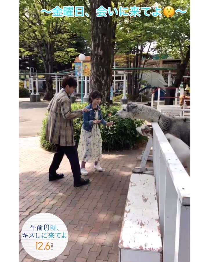 のインスタグラム：「﻿ ／ ‬ ‪﻿ ﻿ 金曜日会いに来てよ 💍👠‬﻿ ﻿ ＼ ‬ ﻿ ‪みなさま1週間お疲れ様でした🔥‼️‬﻿ 寄さん&環奈さんが餌付け🥕ちゅう🐐🐴﻿ ﻿ (あっちこっちどっち⁉にあげるか迷っている姿もキュート❣️…なんだか公式も餌付けされたい🤫) ﻿ ﻿ #金曜日会いに来てよ #週末0キス便﻿ #ゼロキス公開 #午前0時キスしに来てよ﻿ #0キス #0kiss #ゼロキス ﻿ #綾瀬楓 #片寄涼太 #寄さん﻿ #日奈々 #橋本環奈 #jk #かわいい﻿」