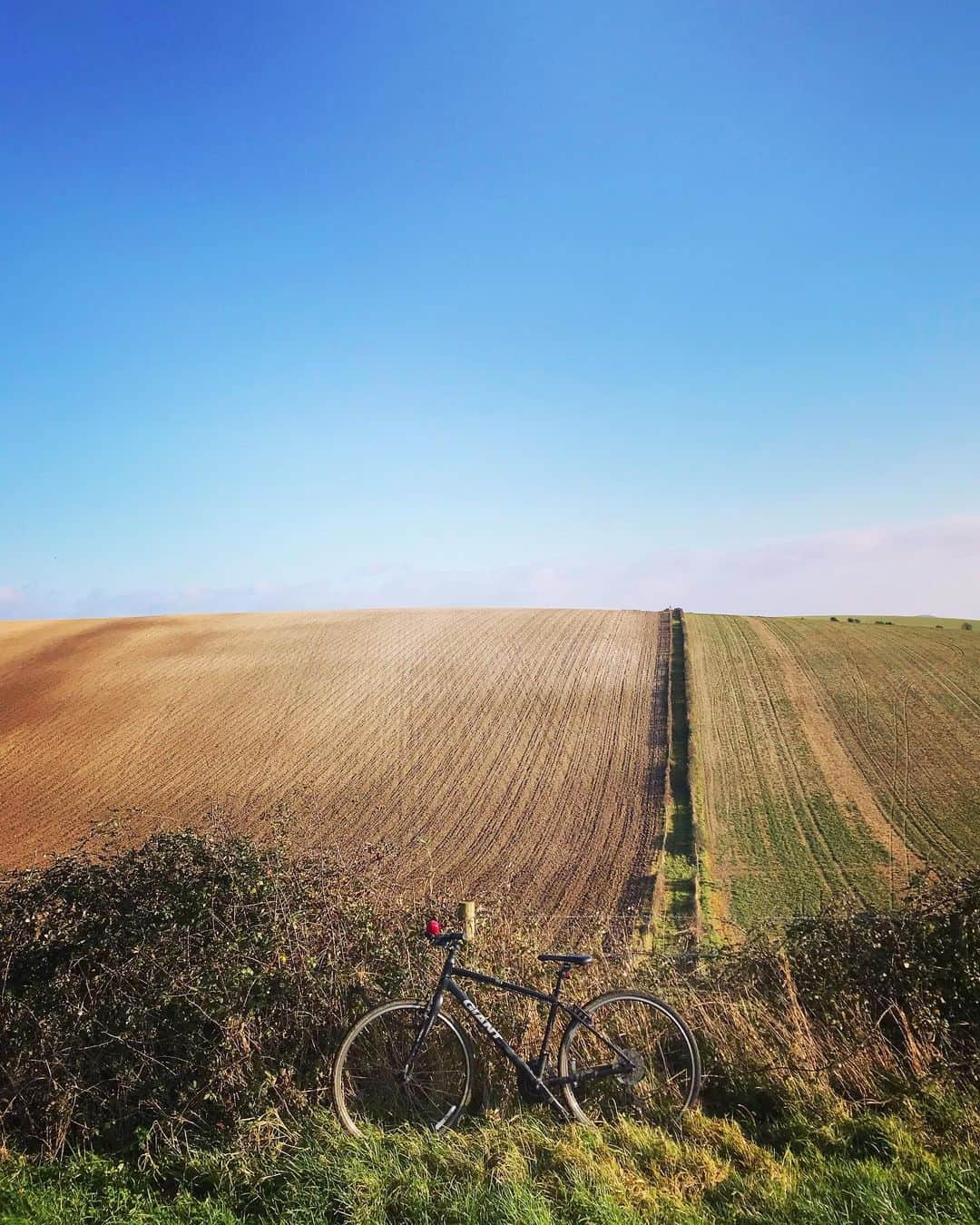 Tea and sittingのインスタグラム：「🚲...I had a hankering to cycle to this spot this morning...maybe just so that I could physically look at a beautiful uphill pathway; one which leads out through thorny brambles and into a hopeful distance...🌿 #5ftinfbike」