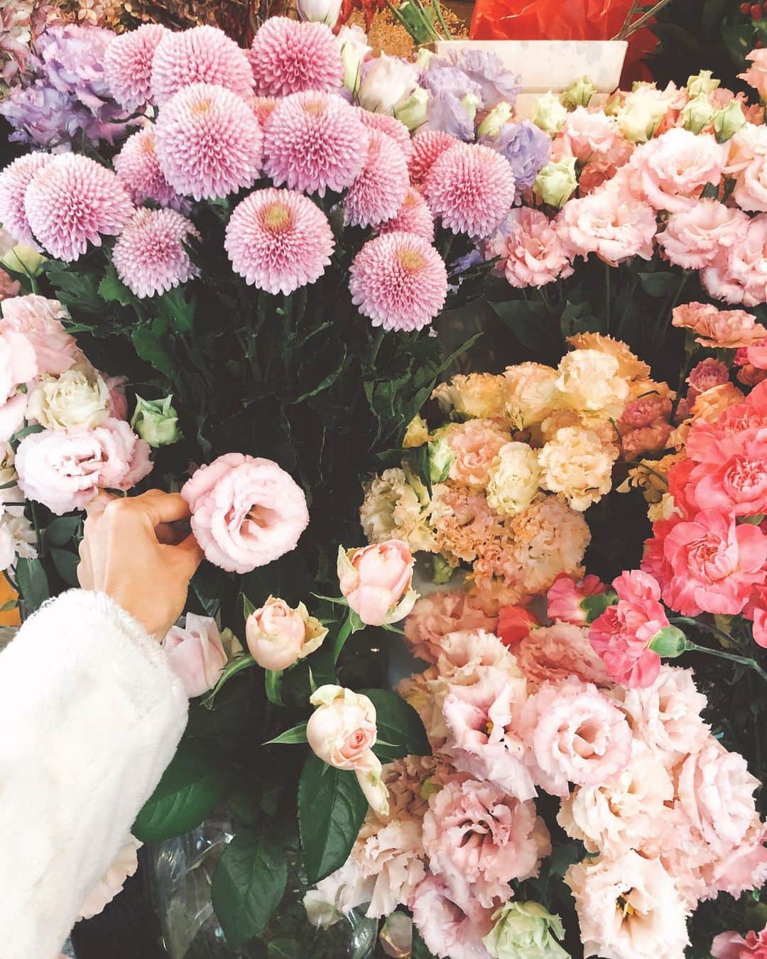 EMILY/BLUEさんのインスタグラム写真 - (EMILY/BLUEInstagram)「お家に観葉植物は 沢山ありますが、お花を飾る事が少ないので 久しぶりに買って帰りました♡ うん、気持ち良いし新鮮だな。 来年はもっとお花をリビングに飾るようにしよーっと☝🏼 #インテリア #お花屋さん #お花 #お花のある暮らし #バラ」12月13日 20時50分 - emilybluejewelry0220