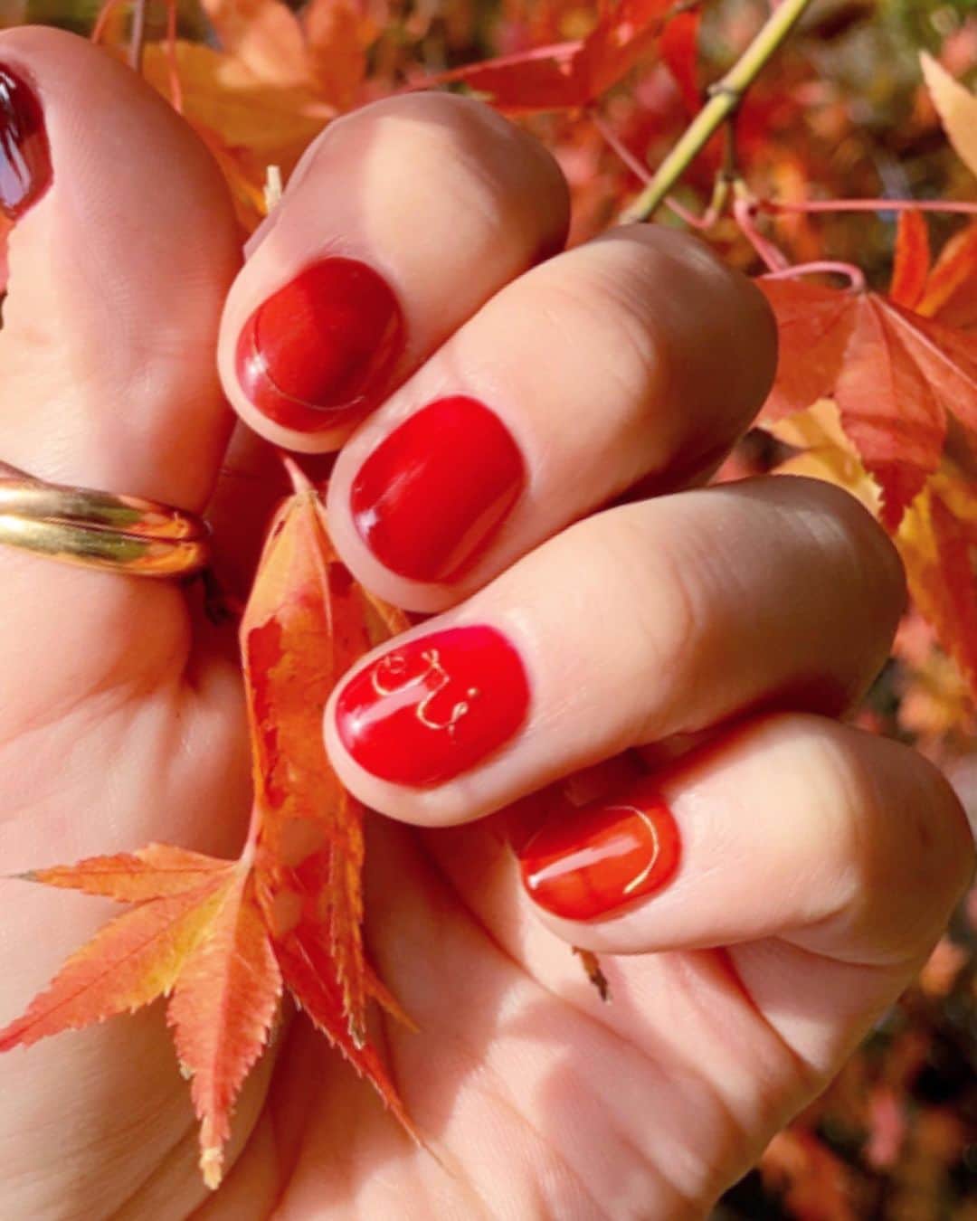 月本えりさんのインスタグラム写真 - (月本えりInstagram)「@risa.malvina  ちゃんりさネイル💅ワイヤーで名前を入れてもらいました😍手先が器用選手権すぎる👏 ニュアンスの違う赤色を5色、赤のネイル1番好き❤️ #nails #gelnails #nailart #wirenails #monogramming #name #red #autumn #🍁 #rednails #beauty」12月13日 21時01分 - eritsukimoto
