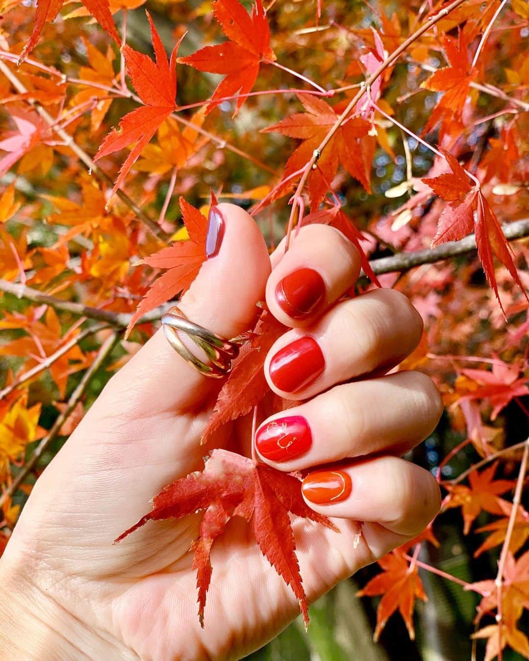のインスタグラム：「@risa.malvina  ちゃんりさネイル💅ワイヤーで名前を入れてもらいました😍手先が器用選手権すぎる👏 ニュアンスの違う赤色を5色、赤のネイル1番好き❤️ #nails #gelnails #nailart #wirenails #monogramming #name #red #autumn #🍁 #rednails #beauty」