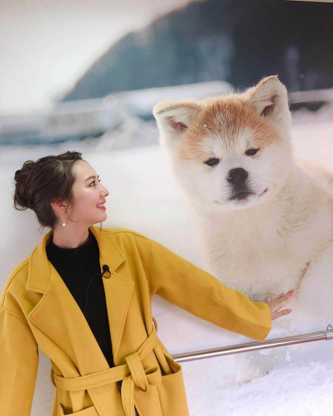 相場詩織さんのインスタグラム写真 - (相場詩織Instagram)「【秋田内陸線 秋田犬っこ列車🐶❤️】﻿ ﻿ 秋田内陸線の魅力の１つは﻿ 車窓から見える景色の美しさ✨﻿ 冬は水墨画のような幻想的な世界が広がっていて﻿ ずっと窓の外を覗いているだけでも飽きません☺️﻿ 私は何も考えずにボーっと自然を﻿ 眺めている時間が好きです😌﻿ ﻿ また7月〜9月いっぱいまでは﻿ 角館駅〜羽後太田駅間﻿ 上桧木内駅、阿仁合駅〜小渕駅間﻿ 前田南駅〜阿仁前田駅間﻿ 小ヶ田駅で田んぼアートを楽しむことができますよ💓﻿ ﻿ バター餅やオリジナルどら焼き﻿ チーズ饅頭 笑内などを片手に﻿ 秋田内陸縦貫鉄道の旅をお楽しみ下さい🌸﻿ ﻿ (車内で撮影する際はお互いルールを守って﻿ 周りのお客様に迷惑がかからないように﻿ 停車中の安全な時に行うようにしましょうね😊)﻿ ﻿ #秋田内陸線 #秋田内陸縦貫鉄道 #秋田 #秋田犬 #鉄道﻿ #秋田内陸線PR #秋田犬っこ列車 #坂口健太郎 さん﻿ #イベント列車 #インスタ映え #1人旅 #女子旅 #東北 #絶景 #田んぼアート #前田南駅 #アニメ #アニメ聖地巡礼 #君の名は﻿ #akitainu #akita #instagood #explorejapan﻿ #溫泉 #觀光 #秋田觀光」12月14日 7時15分 - shioriaiba0801