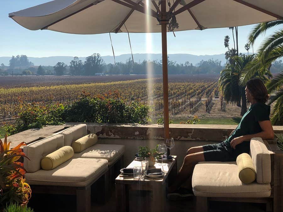 イモージェン・ケアンズさんのインスタグラム写真 - (イモージェン・ケアンズInstagram)「Wine please 🍇🥬 lunch in #sonoma #california #scribewinery #vineyard #lunch #winetasting #bestday #view」12月14日 3時41分 - imogencairns