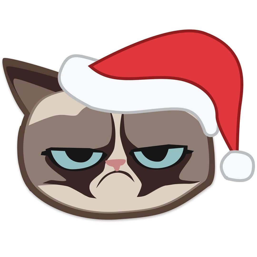 Grumpy Catさんのインスタグラム写真 - (Grumpy CatInstagram)12月14日 6時15分 - realgrumpycat