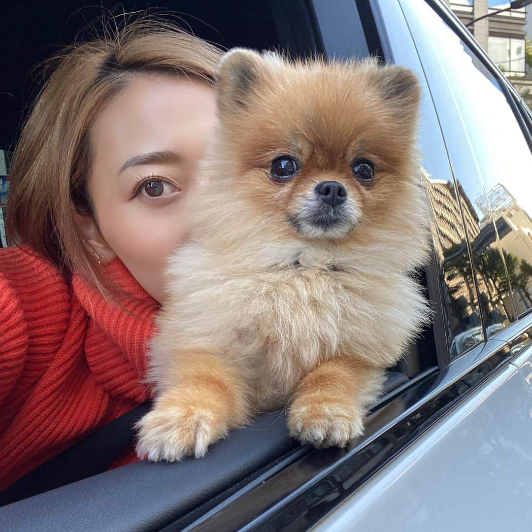 Mika Jimboのグルメインスタ