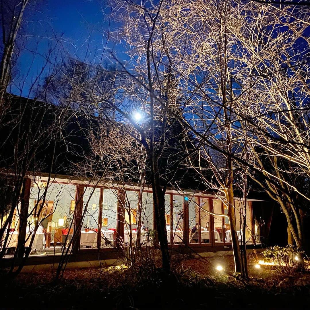 長谷川朋美のグルメインスタ