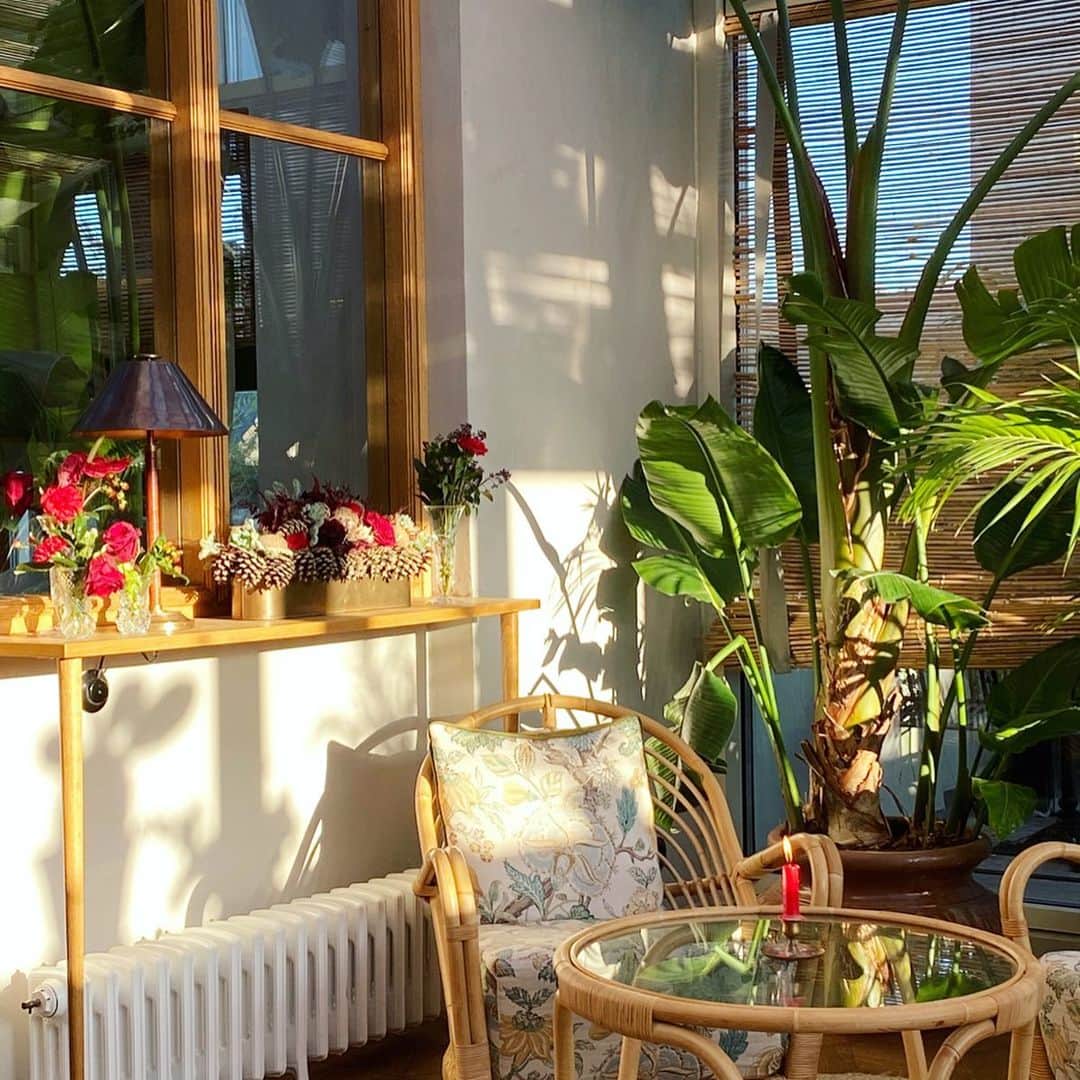 平野紗季子さんのインスタグラム写真 - (平野紗季子Instagram)「澄んだ寒さに陽の光が溶けたコペンハーゲンの冬晴れは特別の心地よさでした　Sandersの温室ルーフトップで召され朝食」12月14日 17時10分 - sakikohirano
