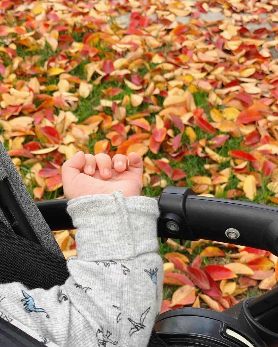 のインスタグラム：「✊🏻🍂🍂🍂 12月なのに18℃。 薄手のジャケット1枚羽織れば十分。 過ごしやすい天気です。 12월인데 18도👍🏻 #겨울은없음  #losangeles #california #🌴#🍂 #로스앤젤레스 #캘리포니아 #ロサンゼルス#カリフォルニア」