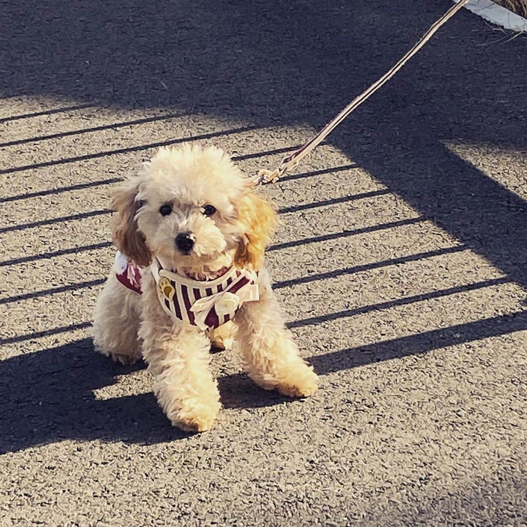 山中千尋のインスタグラム