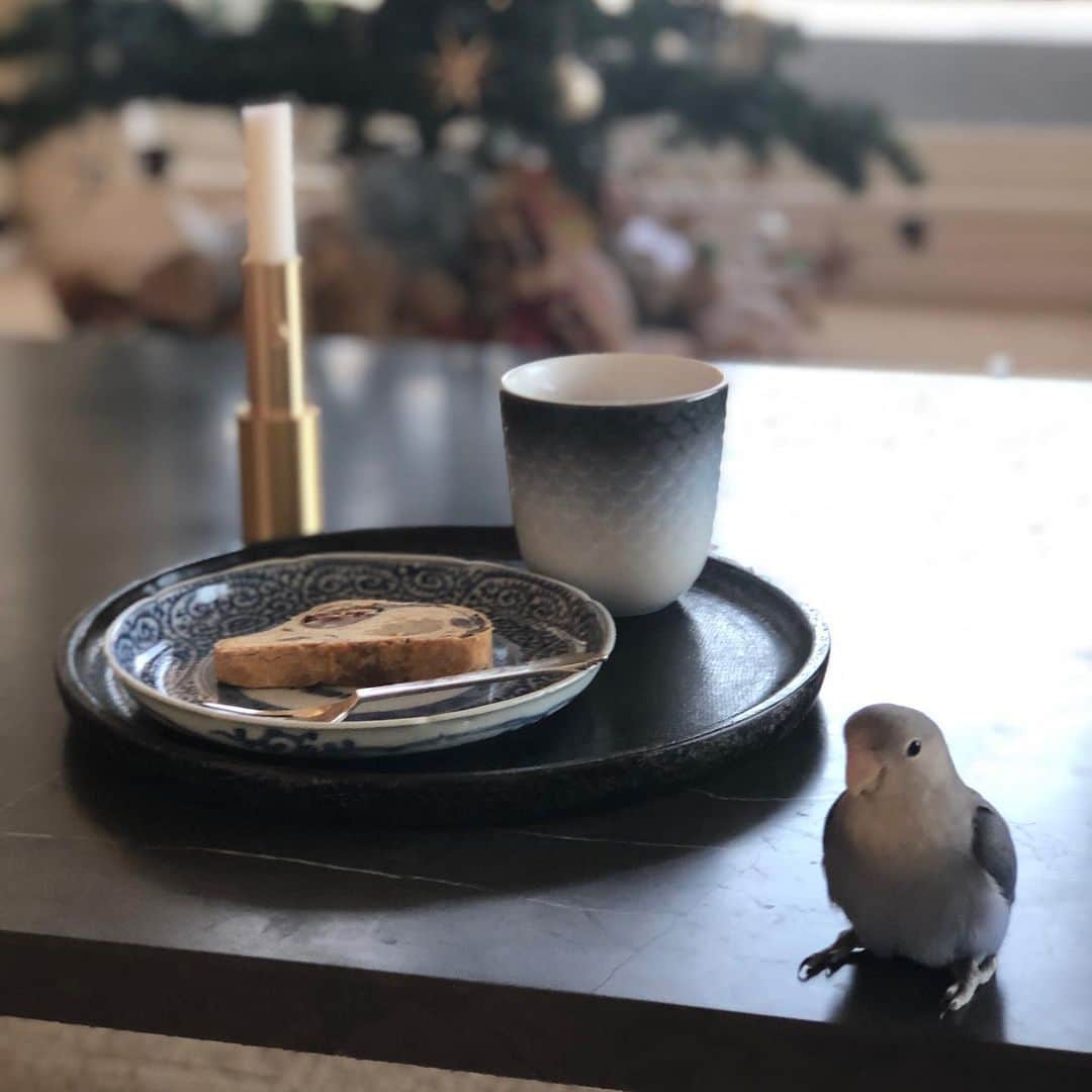 行正り香さんのインスタグラム写真 - (行正り香Instagram)「おはようございます。パレスホテルの和のシュトーレンをいただきました。栗や黒豆鹿の子が入っていて、お茶にもコーヒーに合います。#行正り香  #rikayukimasa インコのハクと器がいっしょ#コーヒー」12月14日 8時55分 - rikayukimasa