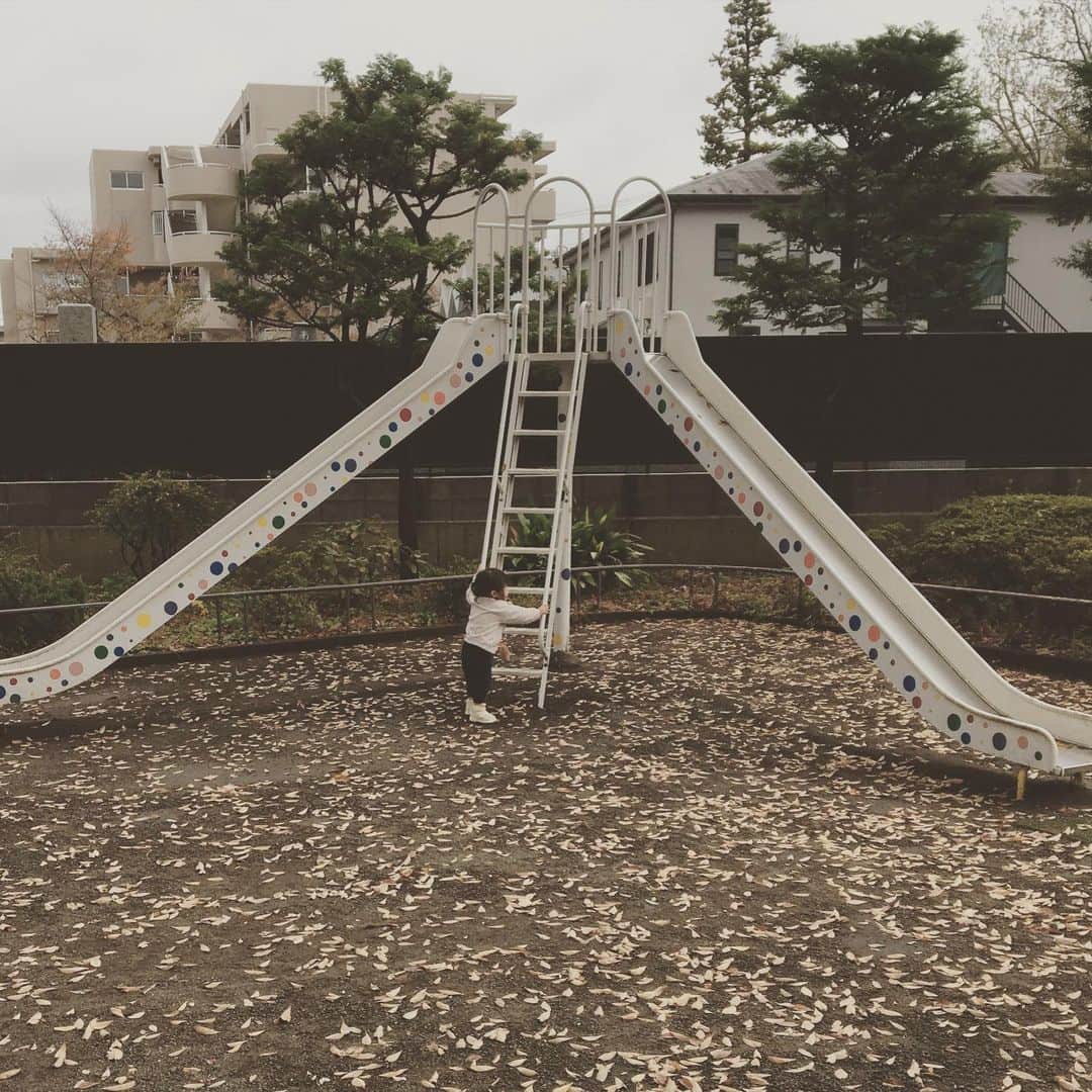 林大介のインスタグラム：「すべり台やね」