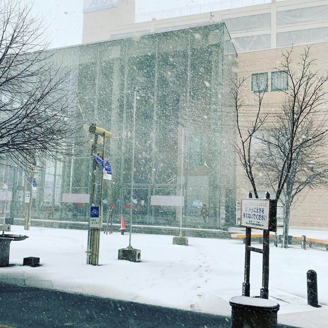 加藤千恵のインスタグラム：「先日の旭川。写真だとそんなに伝わらない感じだけど、外を少し歩いているだけで、遭難の文字が頭をよぎった。」