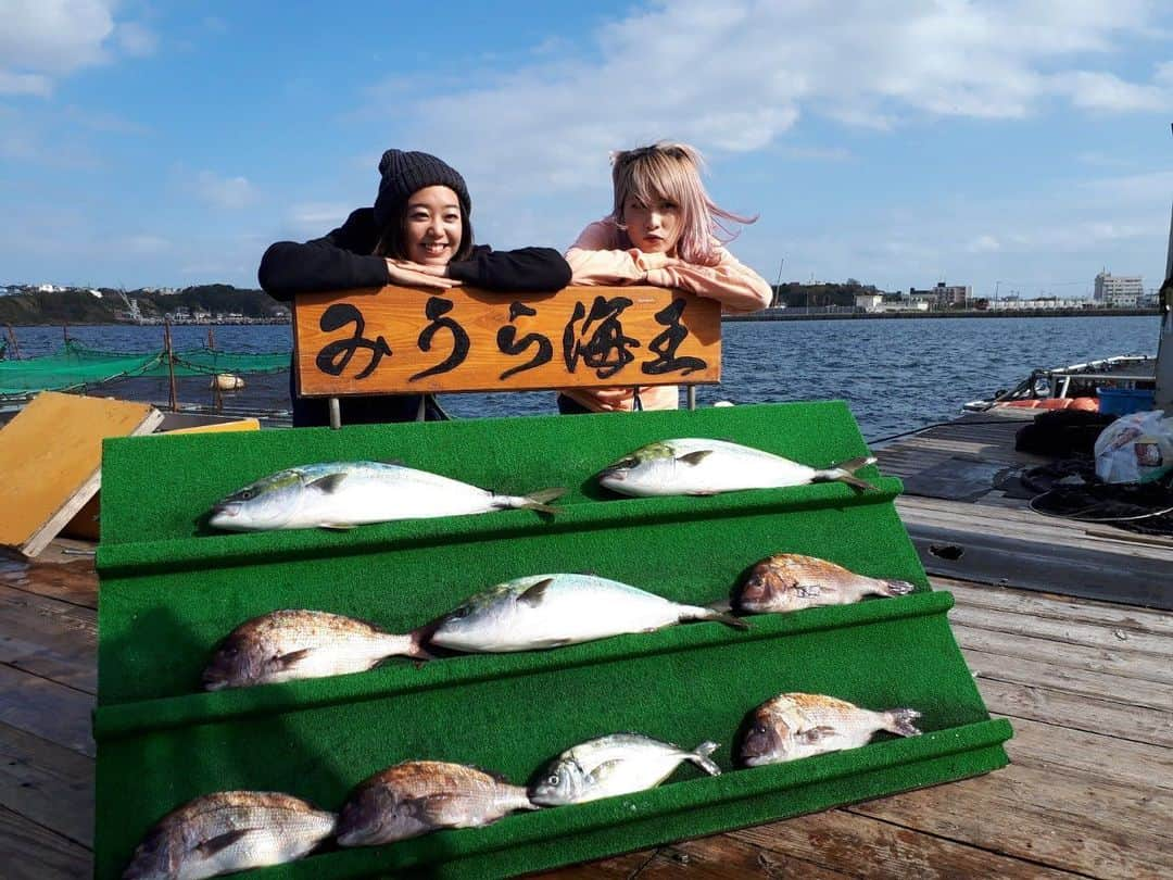 香月ハルのインスタグラム