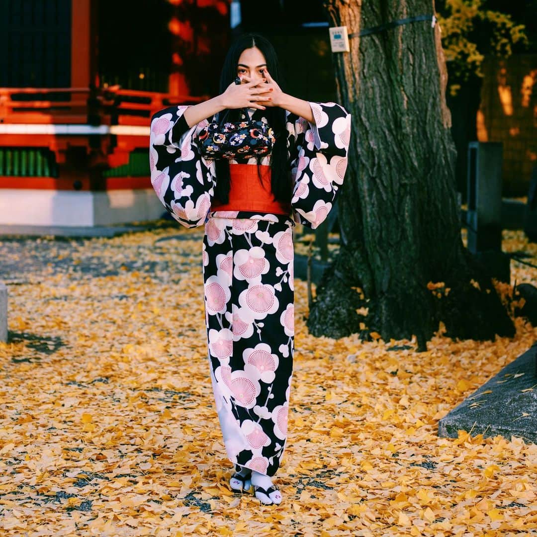 志摩マキさんのインスタグラム写真 - (志摩マキInstagram)「💩臭いw あっ！銀杏だ！🤣 แม่ไม่ให้พูดไม่เอาไม่เอาไม่บอก 很高兴认识你 📸@isomurahama  #👘　#📸　#kimono #月と花　#浅草　#着物　#❤️ #กิโมโน #อาสะกุสะ」12月14日 10時51分 - makishimaaa