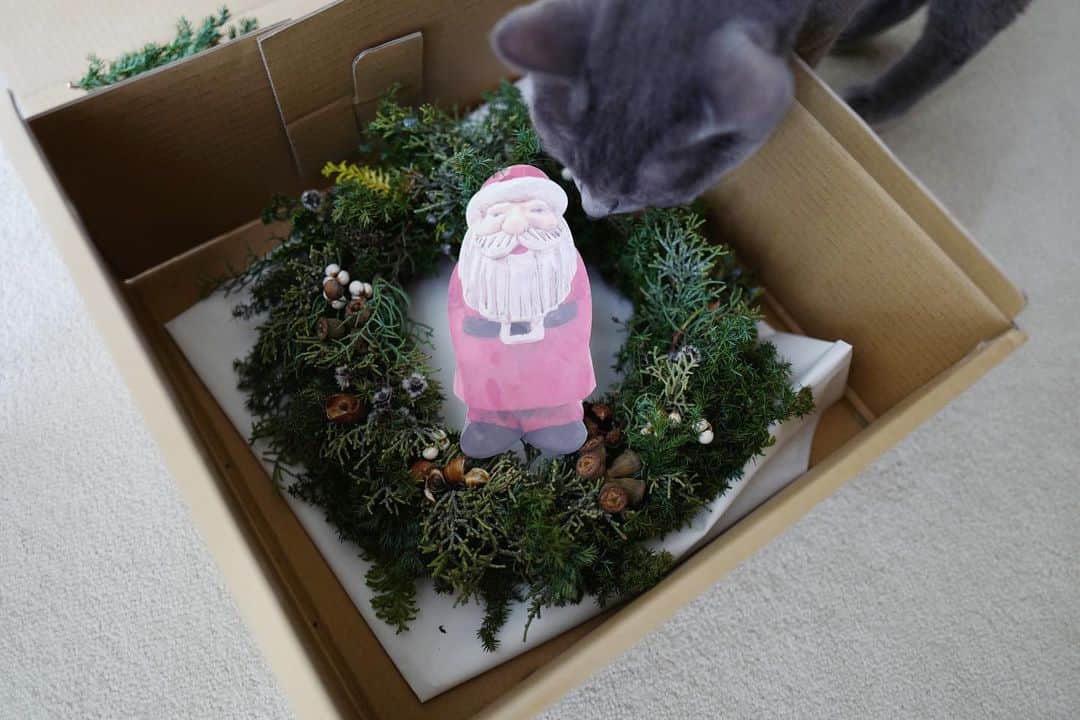 のインスタグラム：「. 🎅が来た♡ 「お家にいる？」って美術館のチケットと一緒に ものすごーく良い香りの素敵なのが届いた。 森にいるような澄み渡るフレッシュで優しい香り🌲 どうもありがとう。 泣きそうだった、いや、ちょっと泣いた😭💕」