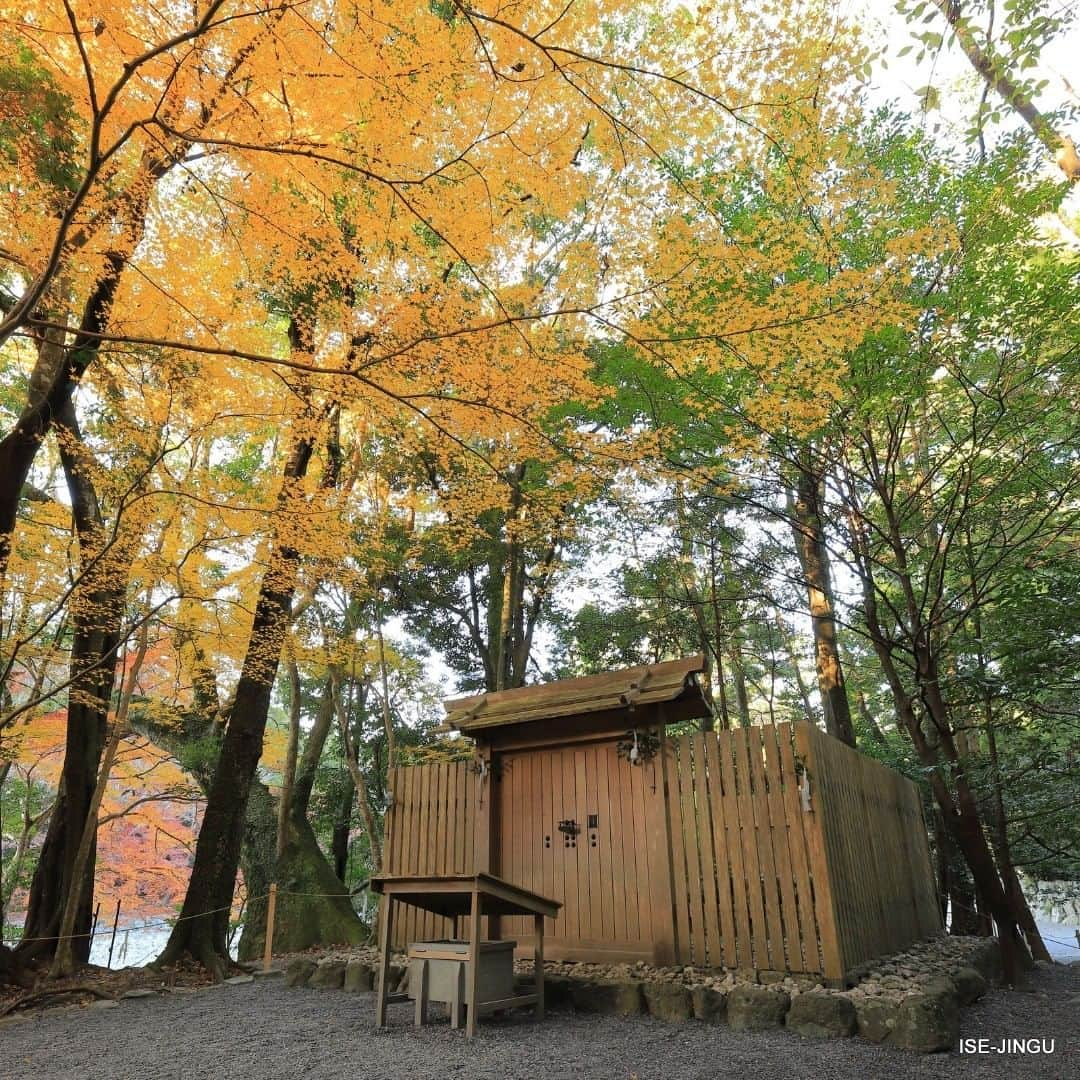 伊勢神宮さんのインスタグラム写真 - (伊勢神宮Instagram)「#伊勢神宮 #神宮 #神社 #心のふるさと #内宮 #瀧祭神 #所管社 #五十鈴川 #神宮125社 #紅葉 #秋 #ISEJINGU #JINGU #SOUL_of_JAPAN #Japan #Jinja #Shinto #Naiku #Takimatsurino_kami #Isuzugawa_River #Autumn」12月14日 11時15分 - isejingu.official