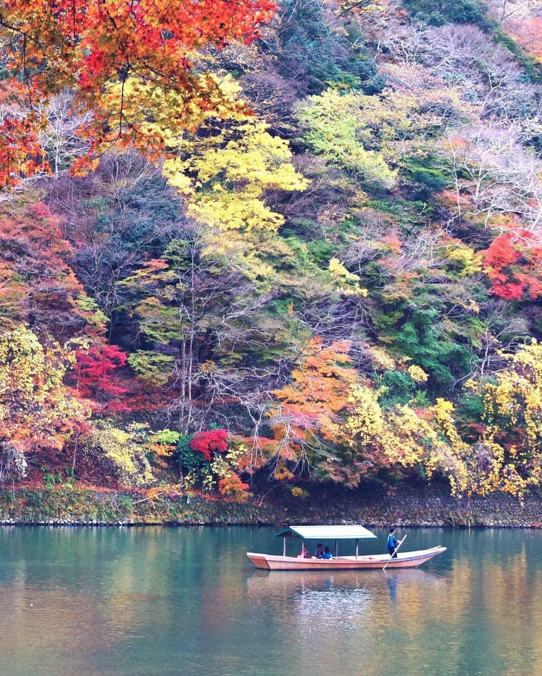 のインスタグラム：「Arashiyama Kyoto 嵐山 このポイントでは手漕ぎ舟の殆どが中央からこちらの岸の近くを通る。なのでおいしい向こう岸の紅葉グラデーションの寄りのカットがあまり撮れない。自分としては貴重な1枚」
