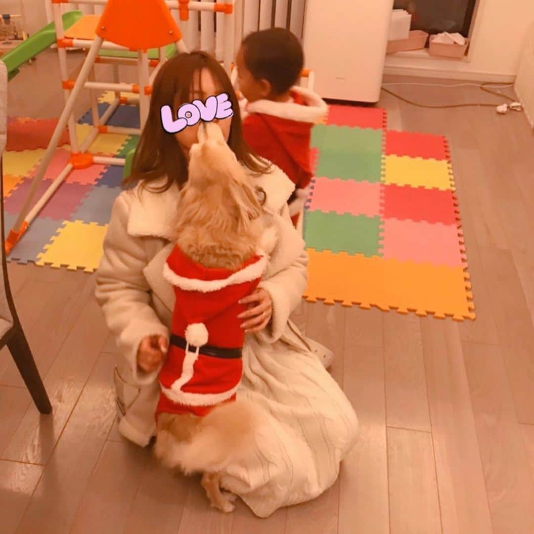 野田彩加さんのインスタグラム写真 - (野田彩加Instagram)「隣きてみつめてくるやつ🐶❤️ なんでそんなに可愛いの❤️❤️❤️ にょろサンタのお出迎えはいつも激しい🤣🐶❤️ #dog #🐶　#christmas #サンタ　#santaclaus #xmas」12月14日 11時23分 - aya.205