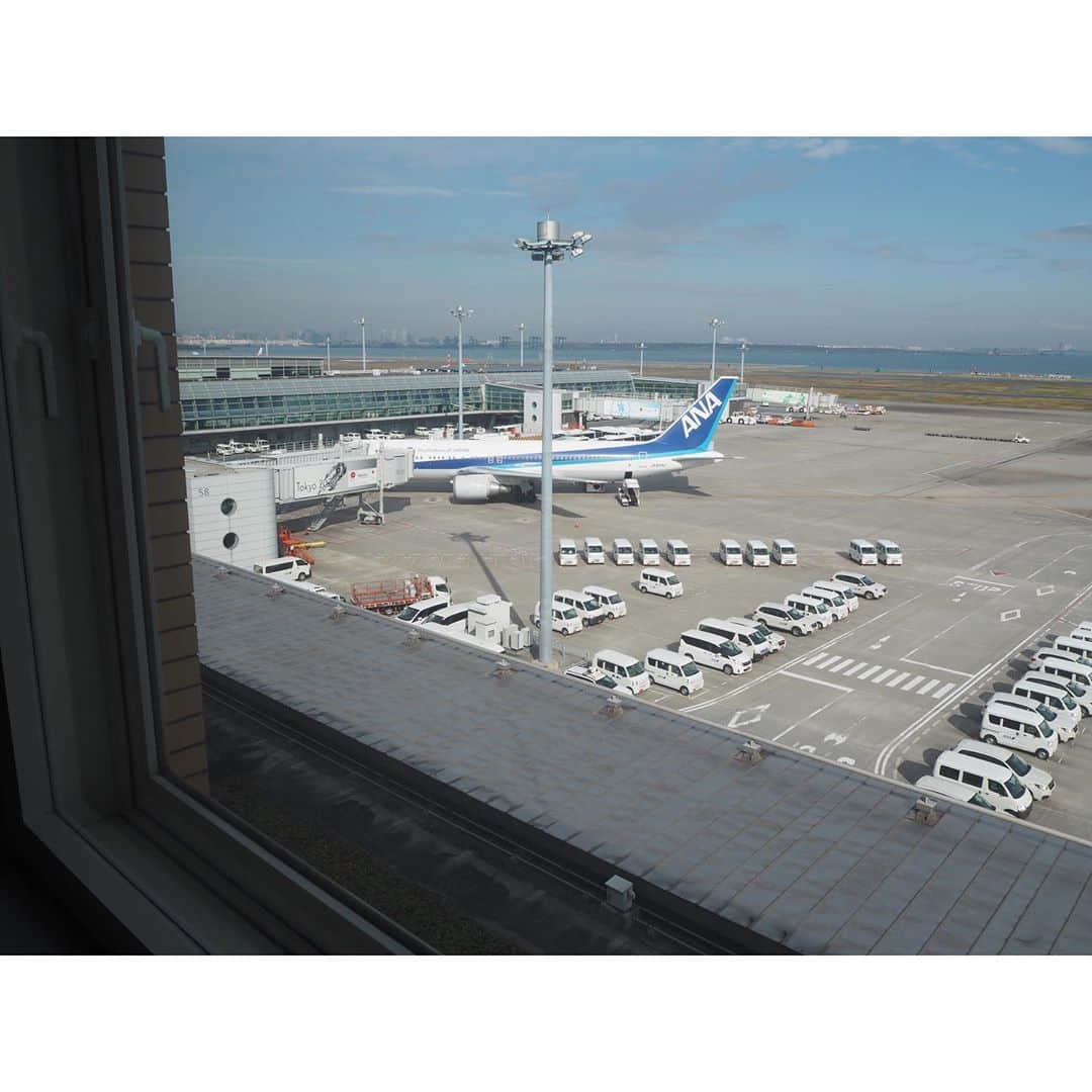 ayakoさんのインスタグラム写真 - (ayakoInstagram)「❤︎ 先日 羽田エクセルホテル東急 @haneda_excel_hotel_tokyu  のコックピットルームと  滑走路の見える部屋を特別に見学させてもらいました🤤 コックピットも実際とそっくりなものでワクワクが止まらなかった😆滑走路の見える部屋には ファーストクラスのシートがあり 私は空港も飛行機も大好きなので すごく楽しかったです😍実際に泊まりたいな😆💕大人になっても飛行機ってワクワクする🤤 * * #hanedaexcelhoteltokyu #東急ホテルズ #tokyuhotels」12月14日 11時35分 - ayaya315