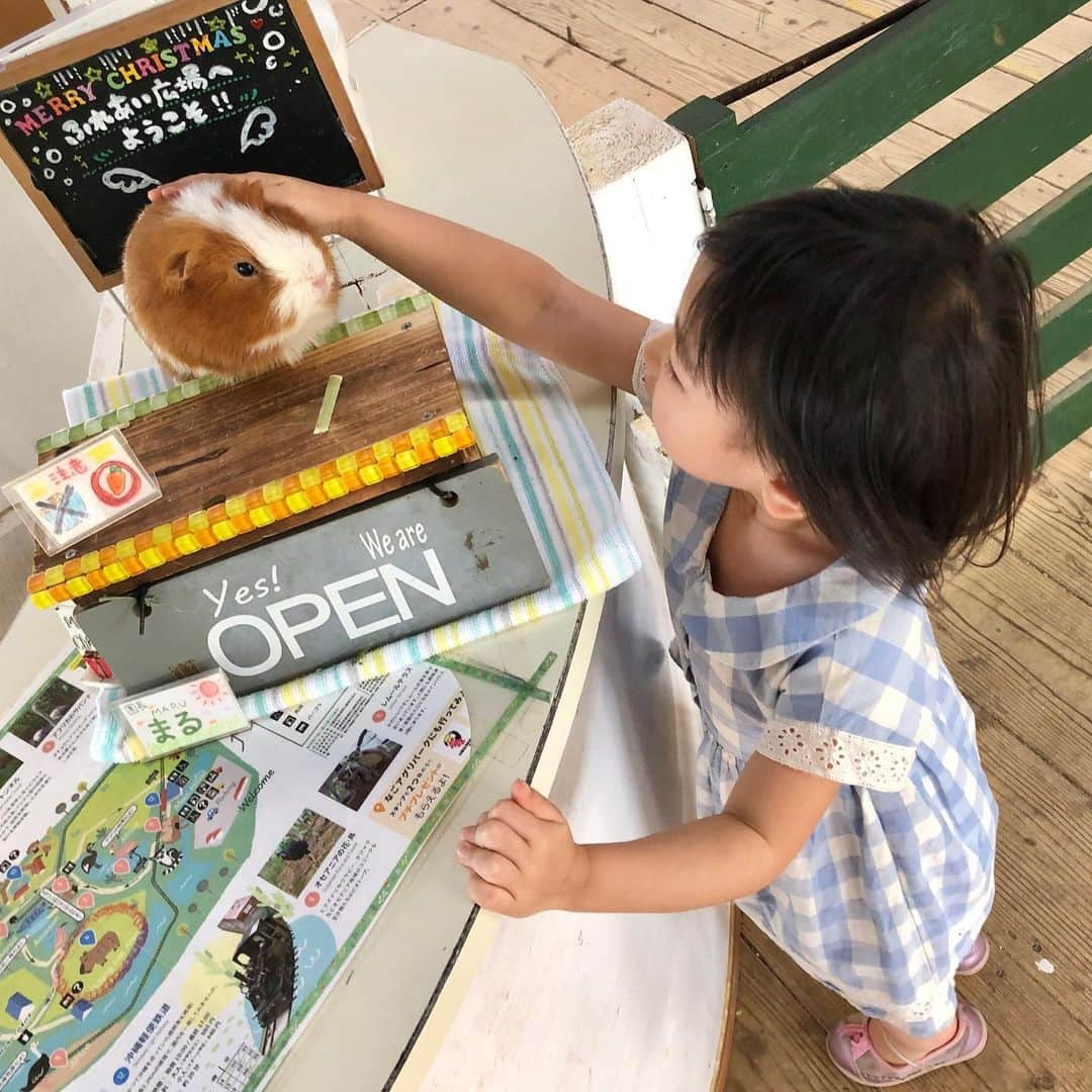 空さやかさんのインスタグラム写真 - (空さやかInstagram)「3歳半を経過中の愛生👧 成長記録📝(長めですw) * * 一人でトイレに行けるようになったり 一人で着替えもするし 難題だった靴下も向きあわせて履いて 靴履いてバッグ持って お出かけするようになり、 ごはんもしっかり 食べるようになってきた。 歌って踊ってが大好きで 朝夕のバタバタな時間帯は テレビを見て楽しんで 待てるようになった。 「ママ、好きだよ」の次に 「ママ、みことかわいい♡」 って言うくらい弟のことが大好きで 彼女なりに可愛がってる。 * 最近ハマってる遊びは 「レストラン屋ごっこ」。 お客さんより店員さんをやる方が好き。 「いらっしゃいませ〜何名さまですか？」 「おみずはあちらにあります💁‍♀️」 「メニューはこちらです、なんにしますか？」 「ありがとうございました、またきてください」 ちゃんと外食のときに 店員さんの言動を チェックしてたんやなーw * 想いを言葉で 伝え合えるようになった。 自分の意思をしっかり言葉で伝えられる。 赤ちゃん扱いを嫌がり 「あおは赤ちゃんじゃない！ おんなのこだよ！」と、 お姉さんへの憧れが強め。 * 髪はようやく結べるようになった。 二つ結びは嫌がり、 毎日ポニーテールに。 体型はまだ小柄なほう。 IQテストは129。 スーパー直感人間で即決タイプ。 記憶力が長けていて嘘ではごまかせない。 好奇心旺盛でなんでも知りたい。 将来の夢はアイスクリーム屋さん←w ママのお手伝いがだいすき。 * 習い事も全部だいすきだし 幼稚園のプレにも喜んで行くし 早くお姉さんになりたい願望の反面、、、 まだまだ甘えんぼで抱っこ要求し 寝かしつけはママ以外拒否だし 食事もママの横がいいと譲らない。 * 夜中に尊の授乳をしてると起きてきて 「ママだっこ〜💦」号泣がしばしば。 ↑これがかなりキツイ。。 日中甘えたい気持ちを たくさん我慢してる分 夜寝ぼけてるときに 爆発するのかなぁ。 精神的にキツイ時期を親子で乗り越え中。 * 我が家は尊👶に手がかからない分、 多感な愛生👧のフォローが大変w 大変な3歳児なんだけど、 きっと子どもたちが大きくなった時 いまの手がかかる愛生を思い出して とても愛おしく思うんだろうなぁ。 今の時期がすごく大切な気がするから。 愛生とまっすぐに向き合いたい。 * * 幼稚園デビューまであと3ヶ月半。 保育園に預けず 生まれてからずっと毎日共に過ごして 成長を一番に把握してこれたけど ついに私の元から巣立っていく感。 * 習い事での母子分離の効果と 幼稚園のプレでも大丈夫なので きっと元気に登園するんだろうと安堵感。 それまでの時間を大切にしよう。 ママをママにしてくれて本当にありがとう。 * * #娘の成長 #長女の宿命 #愛おしさでいっぱい #いつもごめん #いつもありがとう」12月14日 11時35分 - sky_sayaka