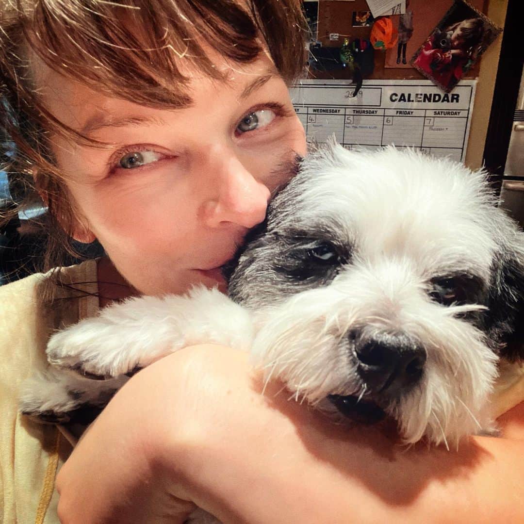 ミラ・ジョヴォヴィッチのインスタグラム：「Look at my big hairy child! His name is Vinny and he’s a real lady killer.😘That face kills me, what a total nug of love. And he’s chunky too like a pot belly pig, i can’t stand it he’s so cute! He was rescued two years ago by a nice lady who couldn’t keep him, so we were able to adopt him. It was a bit tough in the beginning because he was definitely suspicious of people (especially men, poor guy) and he would growl at everyone, but look at him now! Just one big hunk of doggy love. Happy Friday everyone! I hope you stay safe and have an awesome weekend! ❤️ #rescuedogsofinstagram #vinny」