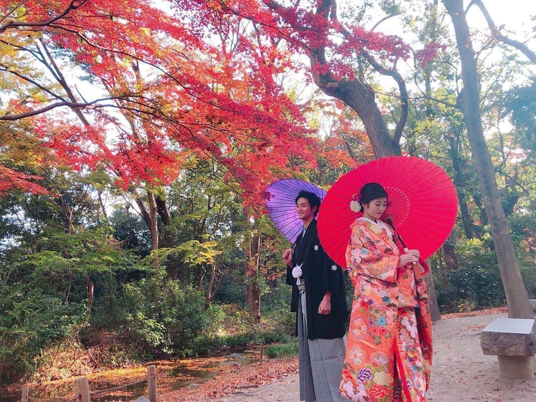 TAKAMI BRIDAL 神社和婚のインスタグラム：「WAKON Concierge (和婚コンシェルジュ)開催！！ @kamomioyajinja  今回は下鴨神社専属プランナーによる 挙式プランの提案や式場説明、  京都市内の人気披露宴・会食会場の 見学相談があわせて出来るチャンスとなります！  普段入ることが出来ない、 下鴨神社直会殿での特別な挙式相談会。  ご予約優先制となりますので、 皆様からの事前のお問い合わせお待ちしております。 ------------------------------------------------------- WAKON Concierge(和婚コンシェルジュ) 詳細 開催日：2019年12月14日(土) 　2019年12月15日(日) 場所　：下鴨神社　直会殿 時間　：11:00〜 /  13:00〜 /  15:00〜 ※下鴨神社挙式検討のお客様へのイベントとなります。 ※既に予約済の時間帯もございます。 ------------------------------------------------------- お問い合わせ窓口 TAKAMI BRIDAL KYOTO TEL : 075-351-7722 MAIL: kyoto@takami-bridal.com ------------------------------------------------------- #和婚コンシェルジュ #WAKONConcierge #ブライダルフェア #式場見学 #式場探し  #プレ花嫁 #日本中のプレ花嫁さんと繋がりたい #結婚式 #神前式 #和婚 #神社婚 #白無垢 #色打掛 #京都 #タカミブライダル #TAKAMIBRIDAL #takamibridal  #関西花嫁 #大阪花嫁 #京都花嫁 #下鴨神社 #2020春婚 #2020夏婚 #2020秋婚」