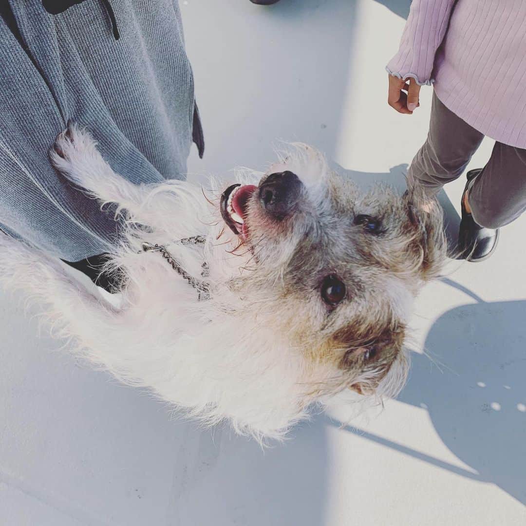 奇妙礼太郎のグルメインスタ