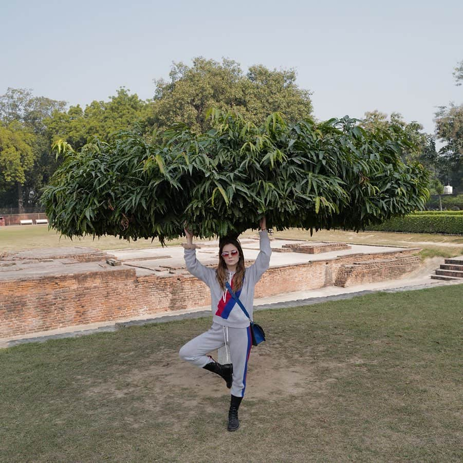 ビリー・ラードさんのインスタグラム写真 - (ビリー・ラードInstagram)「🌳🧘🏻‍♀️🌳#meunderatreeinVaranasi #badlycomposedtreeposewherevershegoes #blaséontheoutsideblessedontheinside #sorrymontanaistoleurglasses」12月14日 12時16分 - praisethelourd