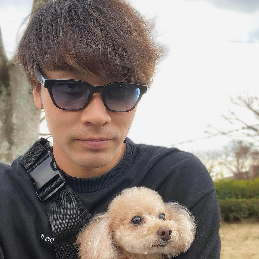 武田翔太のインスタグラム：「甘えん坊来たから散歩してきました😍 ベンチで休憩中の写真📸 癒された😍  #愛犬 #トイプードル#散歩 #可愛い #元気過ぎる#でもまだ俺の方が元気だから負けてない🔥#甘やかしちゃう悪い癖#そんなの関係ない#一緒に居る時は好きに甘えさせてあげる👍」