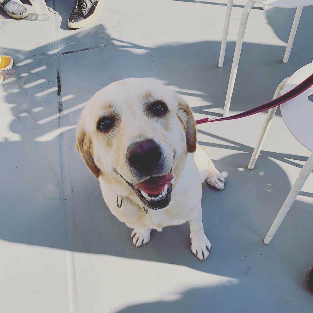 奇妙礼太郎のグルメインスタ