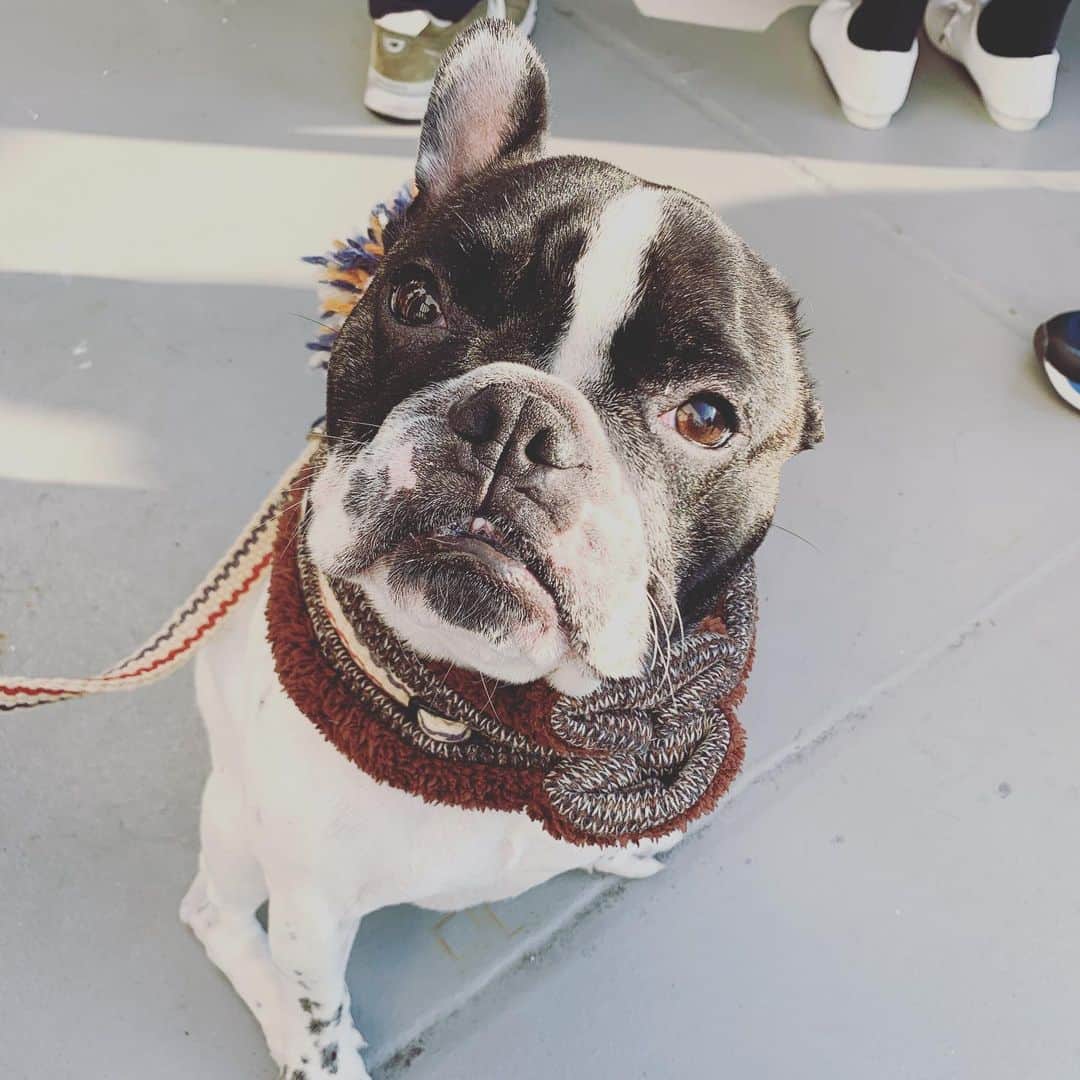 奇妙礼太郎のグルメインスタ