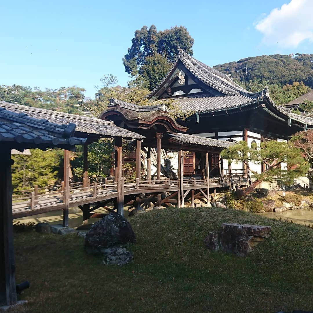 松本康太さんのインスタグラム写真 - (松本康太Instagram)「京都の高台寺にレイザーラモンHGさんと参拝に行きました(*^^*) 祇園辻利の「ねねフロート」が高台寺限定で売っていたので、思わず(*^^*) 豊臣秀吉とねねのお寺なのです♪  #京都 #高台寺 #豊臣秀吉 #ねね #お寺 #寺#ねねフロート #祇園辻利 #レギュラー松本 #あるある探検隊 #レイザーラモンhg  さん#限定 #祇園花月 #劇場出番」12月14日 16時07分 - aruarutankentai.matsumoto
