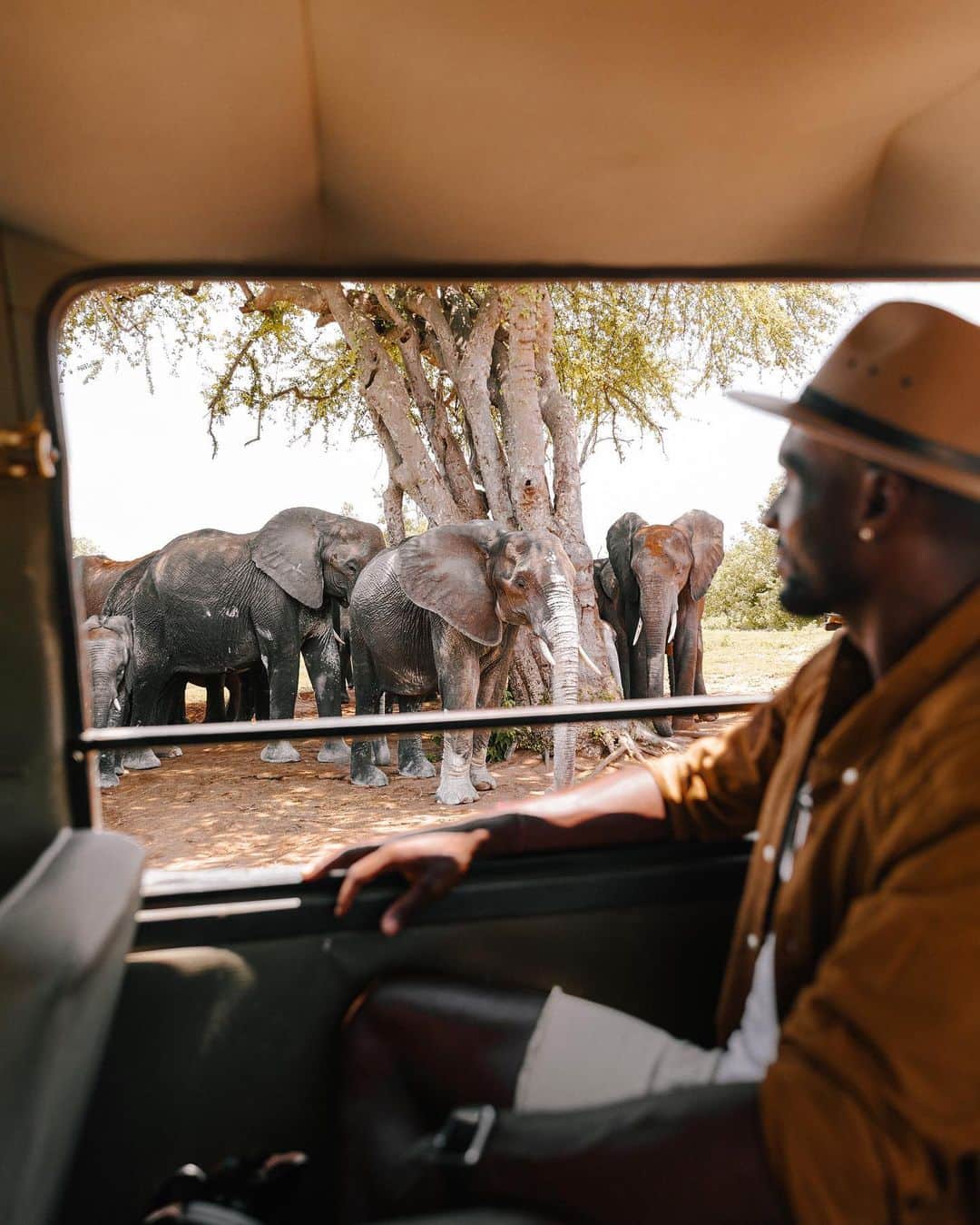 リリー＝ローズ・メロディのインスタグラム：「Made it to Southern Africa with @croisieurope_official 🐘. We’ve been experiencing their African Dream trip for the past few days and it’s been nothing but magical ✨. Here’s a capture of Jib being in awe in front of those majestic elephants. Being so close to those incredible animals in the wild and observing them roaming free in their natural habitat was such a magical experience #lilyinafrica」
