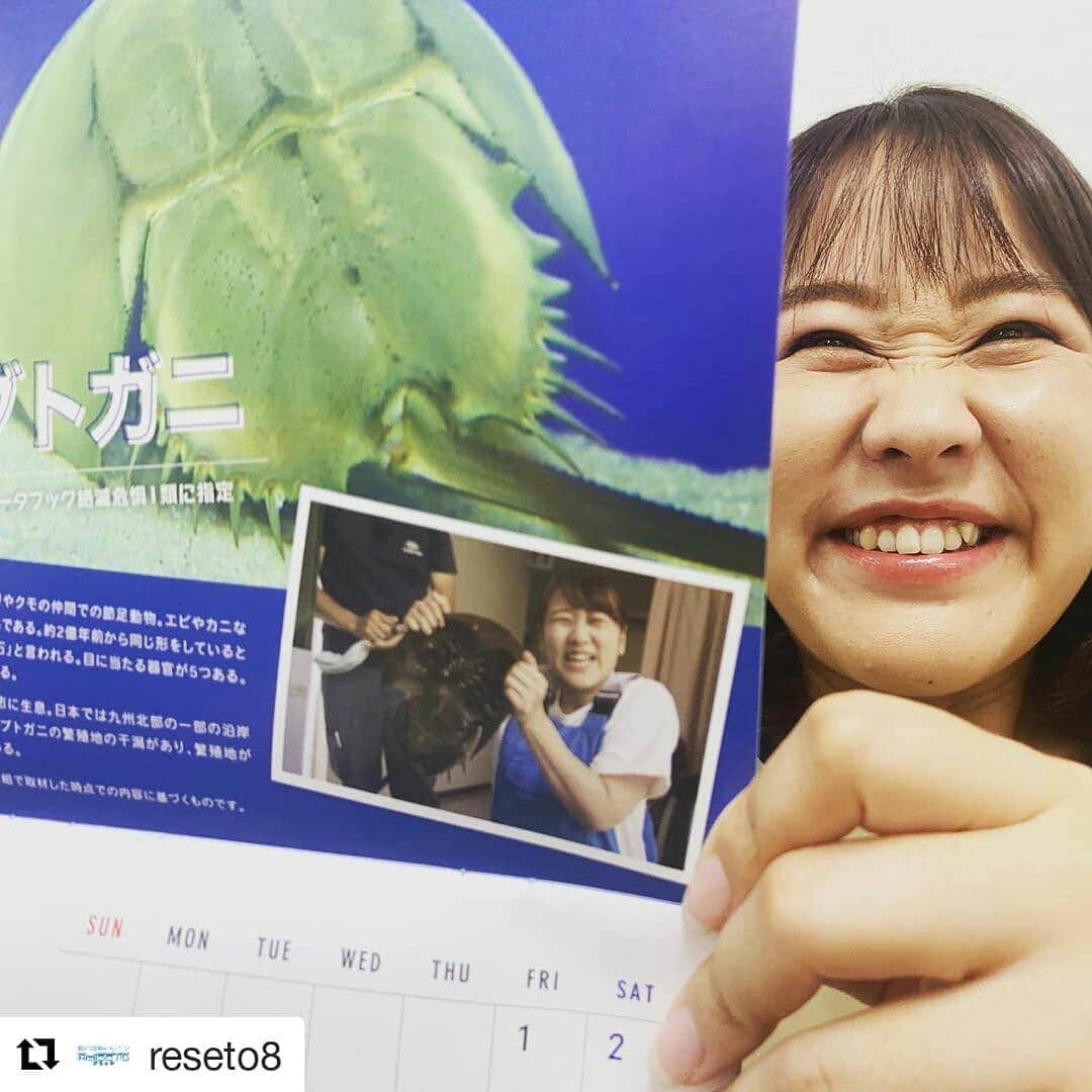 のインスタグラム：「#Repost @reseto8 (@get_repost) ・・・ 今日明日フォロワーさんにプレゼント🎁しているRe:SETOカレンダーの中身、一部をご紹介🤗🧡 これまで番組で見つけた絶滅危惧種の生き物たちが沢山載っててお勉強にもなりますよ🐬🐢🐿 この後午後2時15分からイオンモール岡山で番組公開収録です‼️‼️‼️‼️‼️👍👍👍👍 #Re:SETO #カレンダー #プレゼント🎁 #先着順です！ #自分の顔を顔マネする矢野アナ #カブトガニ #矢野みなみ #マシンガンズ #公開収録  #サザエさん×#OHK#瀬戸内環境キャンペーン#Re_SETO #8ch#岡山放送#イオンモール岡山」