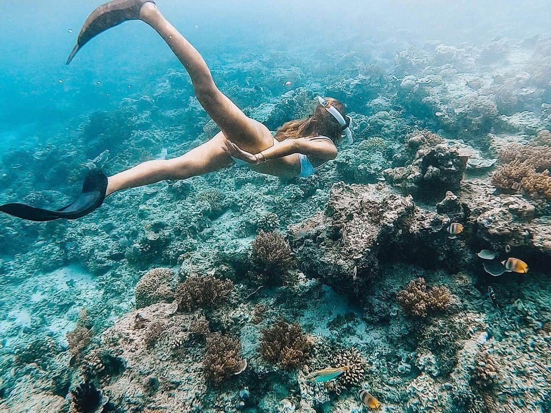 福井仁美のインスタグラム