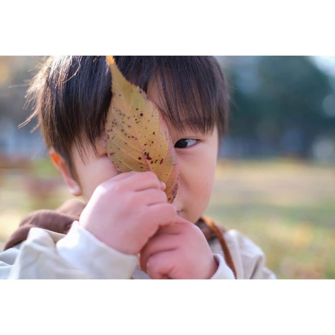 Ai.tさんのインスタグラム写真 - (Ai.tInstagram)「. . 今日はのんびりな一日で幸せすぎた😭❤️ . 子どもたちも公園楽しかったみたいで良かった🤝 暖かくて公園日和だったしね❤️ . . 昊也のムチムチお手手が愛おしい😍 . 渚の写真もたくさんあるからまた後で載せまーす👏 . . 2019.12.14 #nagisa_kouya_movie #FUJIFILM #fujifilm_xseries #今日もX日和 #tokyocameraclub #東京カメラ部 #photo #写真 #子どもの写真 #カメラ #ファインダー越しの私の世界 #何気ない瞬間を残したい #ママカメラ #RECO_ig #私の見る世界」12月14日 18時29分 - ngs.rky.kuy