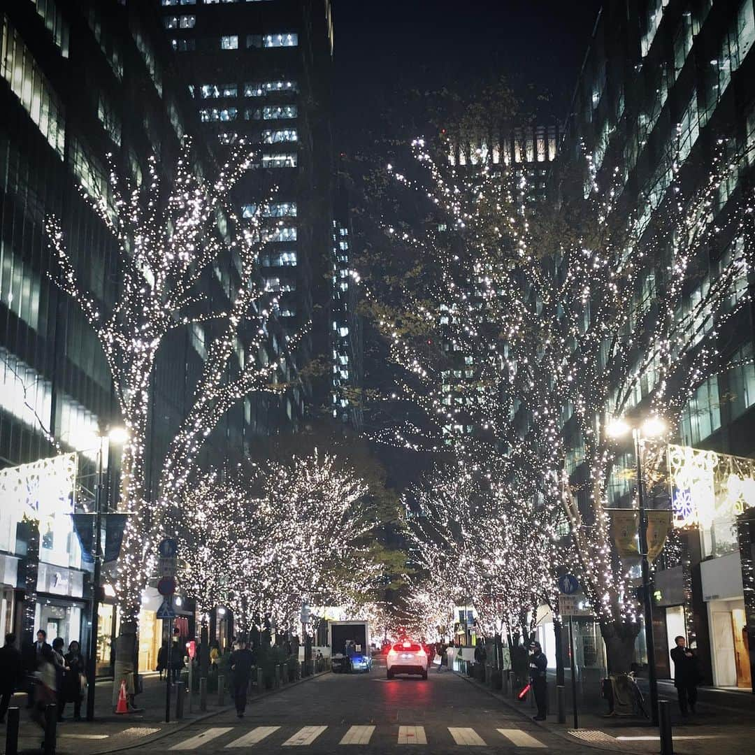 珠洲春希さんのインスタグラム写真 - (珠洲春希Instagram)「日曜日が過ぎれば、今年も残す所あと半月余り。 令和も、もう元年から二年になるのですね😳✨ 来週からは、２月まで、また怒涛のスケジュールがやってきます。 今年も、🎄🎅は、、、なしです。いえ、お仕事がある事に感謝せねばなりません。 頭の切り替えをちゃんとしながら頑張りたいと思います。  優しい花に癒されて、丸の内のイルミネーションでキラキラを🎄✨✨沢山いただきます。 ラグビーの丸の内🏉のパレード 、、、くぅ。。行きたかったです。」12月14日 18時26分 - harukisuzu54