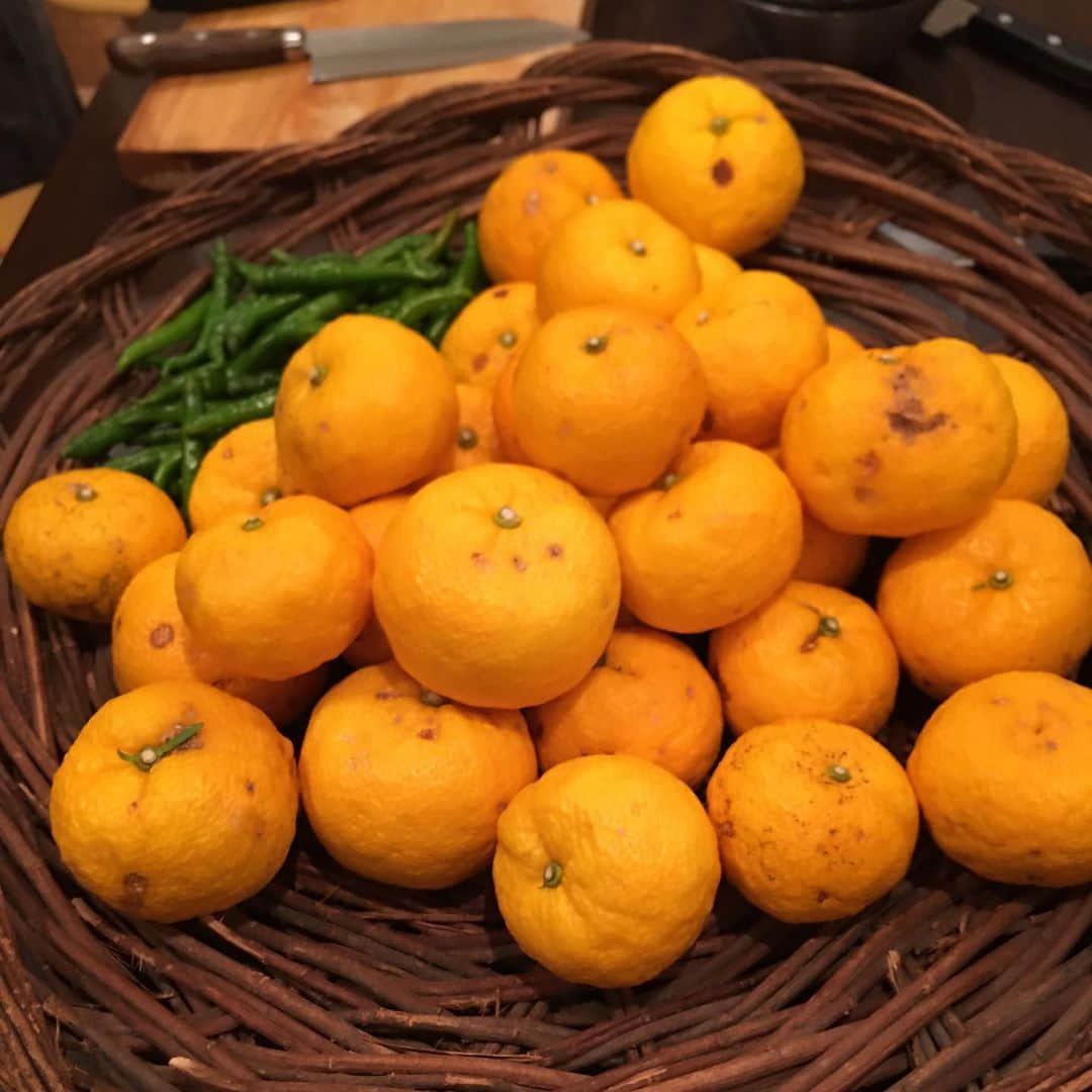 MICHIRUさんのインスタグラム写真 - (MICHIRUInstagram)「簡単かと思いきやじみーに手間ひまかかる柚子胡椒作り。 でも出来上がりはかつてないほどの美味しさ❗️ . ぬか漬けに引き続きりえ子さん @rieko_teramoto 宅で。 このシーズンは黄色の柚子胡椒。 . 皮を薄く切るだけでも途中でブチブチ切れる柚子皮の変色した細かいキズを出来るだけ細かく取り除き、その皮を今度は5mm幅にカットしていくという細かい作業が永遠に続くけど、5人プラス子供2人でワイワイ楽しく。 . そのあとの唐辛子🌶の種取りはゴム手でやるのでこれも地道に種をとり、細かくカット。 この種を触った手で顔とか触ってしまうとヒリヒリ大変な事になるから要注意。 細かい作業を経て瓶詰めされた黄色の柚子胡椒はとてもカラフルで綺麗。 早速鍋で食べてますが、美味しくて感動❗️❗️ 市販のものとは別モノ。ちょっと優しい味わいの黄色ゆず胡椒もこのシーズンならでは。 皮のない柚子はゆずポン酢に✨✨✨✨ . #手作り柚子胡椒　#柚子胡椒　#柚子　#無農薬　#organic #ゆずこしょう #満ちるライフ #黄色ゆず胡椒」12月14日 18時48分 - barbiemichiru