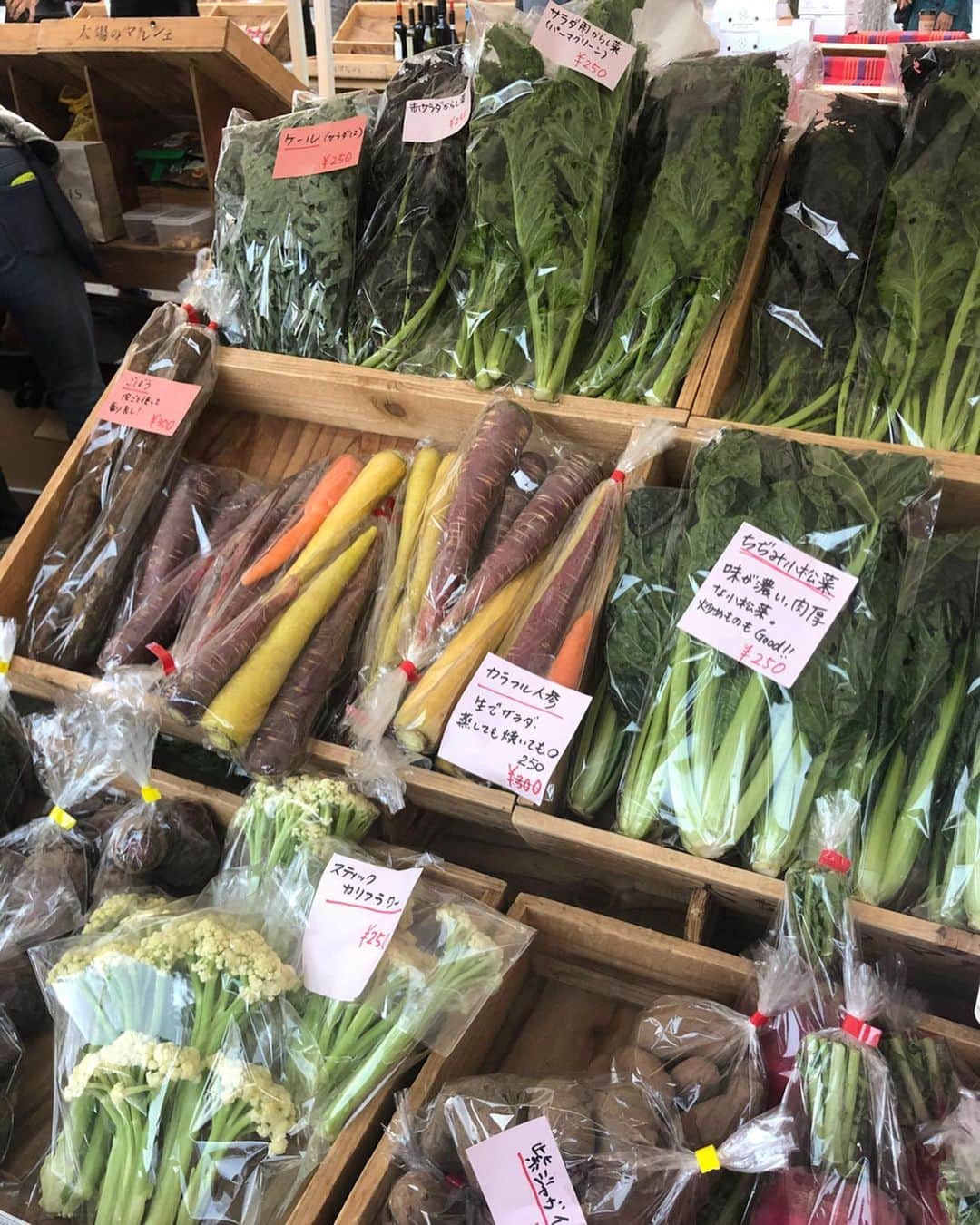 楪望のグルメインスタ