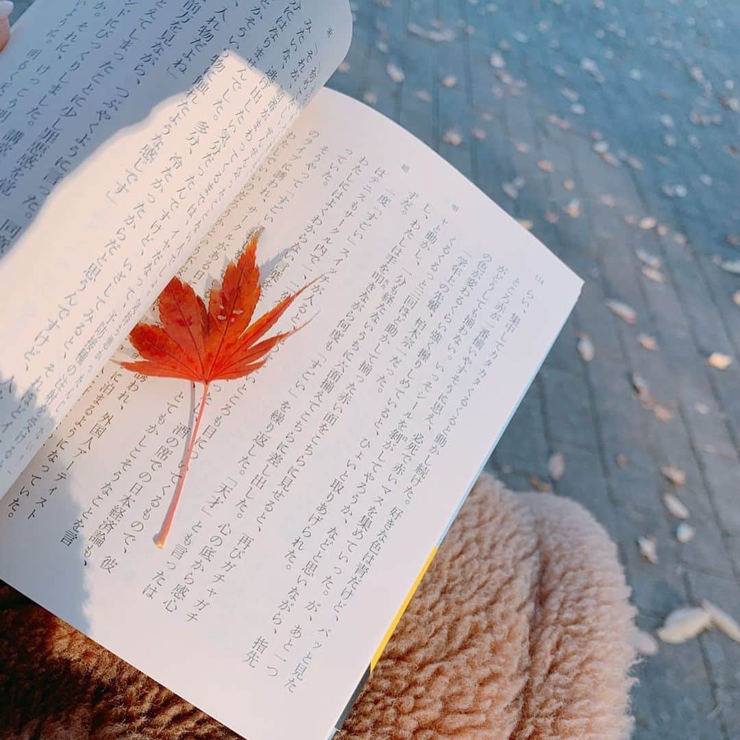 美香さんのインスタグラム写真 - (美香Instagram)「逆光で裏から見る紅葉。 美しかったなぁ。 息子のサッカー待ち中 読書をしていたら ひらぁっと舞い落ちてきました🍁  裏を見せ 表を見せて散る もみじ 🍁  人生 そうでありたいな😌」12月14日 18時57分 - mikaofficial99