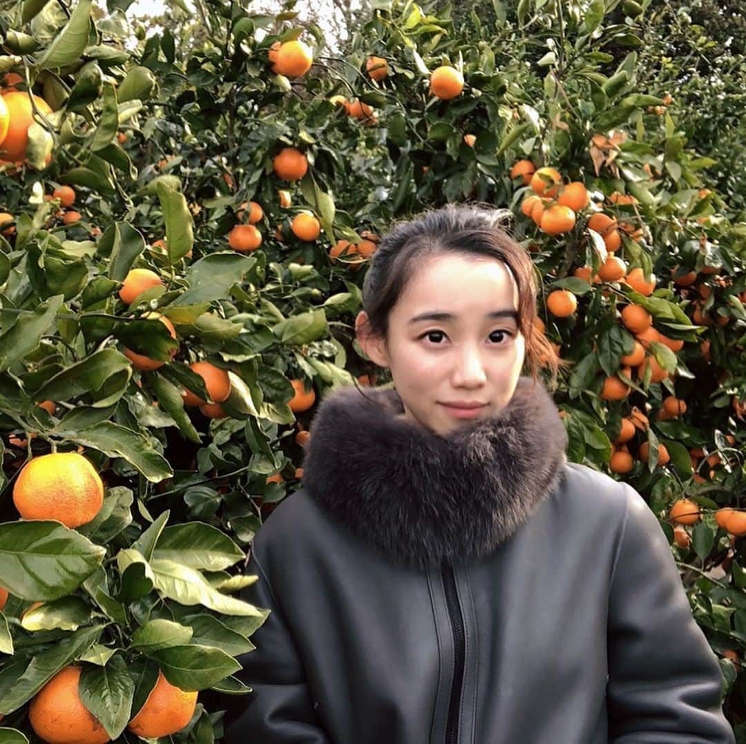 Baekのインスタグラム：「展示が終わって少し休みをいただいて実家に帰ってます。 昨日から家族でチェジュに来ていますが暖かくて自然が綺麗なところです。 みかんがたくさんなるところなので、今日はみかんの畑にいってきました！すごく広くて美柑の香りがして、ずっとみかんを食べて幸せでした！みかんが好きでよくたべてたのですが、ちゃんとみかんの木を見たり、手で取ってみたのは初めてで、すごく素敵な時間でした。 今日取ったみかんは今食べても酸味と甘味があって美味しかったけど、あしたになったらもっとあまくなるみたい！ 明日も楽しみだなー☺️🍊」