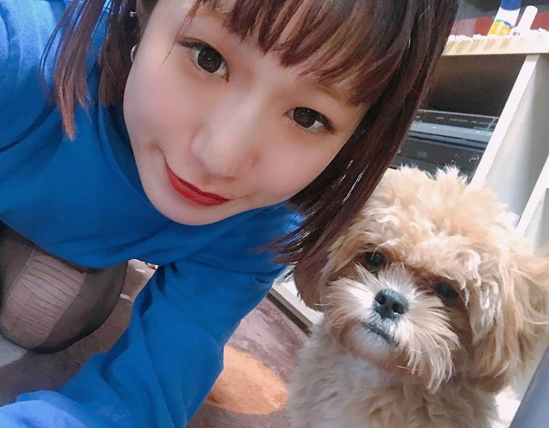 Manitasのインスタグラム：「ご機嫌な飼い主👩🏻と不機嫌な犬🐶 インカメで2shot撮ってるのにカメラ目線で君のその顔はなんだ。。。もっとかわいい顔をしてくれ。。。 #世界一かわいいほっこりdog」