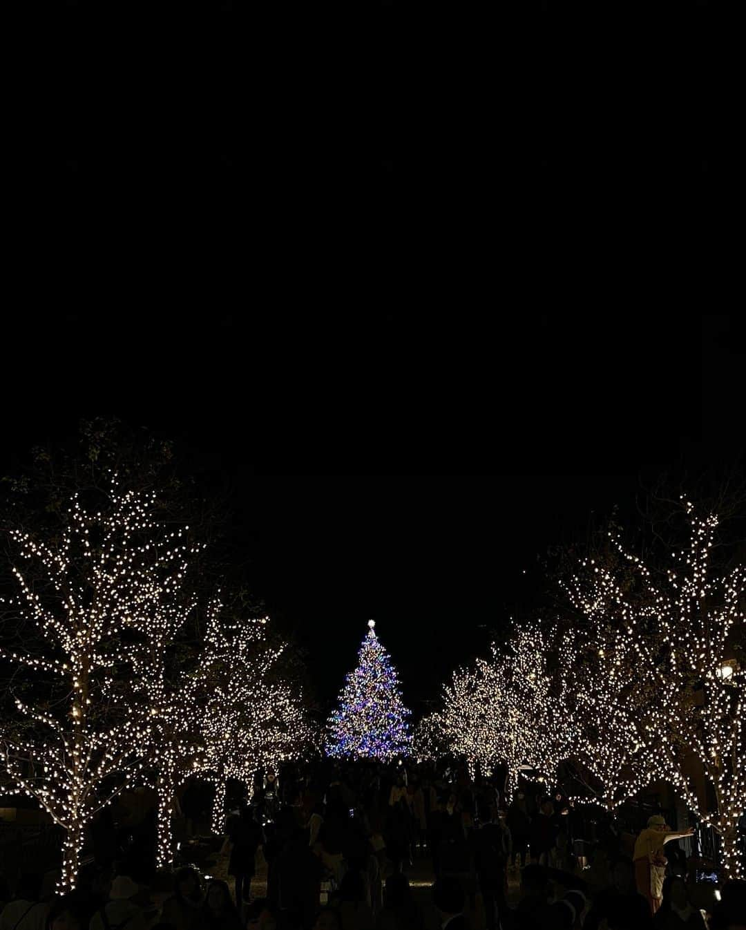 入江陵介さんのインスタグラム写真 - (入江陵介Instagram)「Early Christmas 🎄  イルミネーション綺麗！  #xmas #illumination #shibuya #ebisu」12月14日 21時00分 - ryosuke_irie