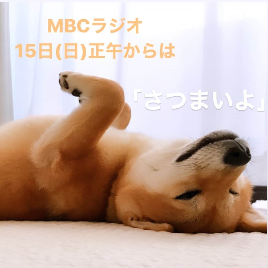のインスタグラム：「明日お昼12時からは、 愛媛県のRNB南海放送とのラジオ×アプリ連動番組 #さつまいよ をお送りします。 不慣れな歴史物、クイズ対決、他局との同時放送ということで、とても緊張しております。(緊張感のない写真ですが😅) . そんな私を、スタジオでは東川隆太郎さんが軍師としてサポートして下さいます。 ぜひみなさんにもMBCアプリから参戦し、後押ししていただきたいのです！  まずはMBCアプリをダウンロード、 番組中は良き良きボタンをタップ！何度でもどうぞ！ 鹿児島-東京往復ペア航空券のプレゼントもご用意しております🗼 忍者レポーター木藪アナウンサーも登場します🎤 .  #MBCラジオ #MBCアプリ」