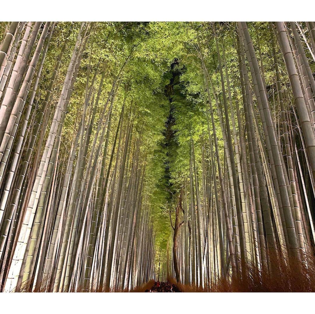 Yasuji Narutoさんのインスタグラム写真 - (Yasuji NarutoInstagram)「今日は嵐山の花灯籠に行ってきました。  渡月橋を渡るお月さん。  画像加工アプリが15秒CM入るようになって  若干萎えとります」12月14日 22時17分 - norosuke